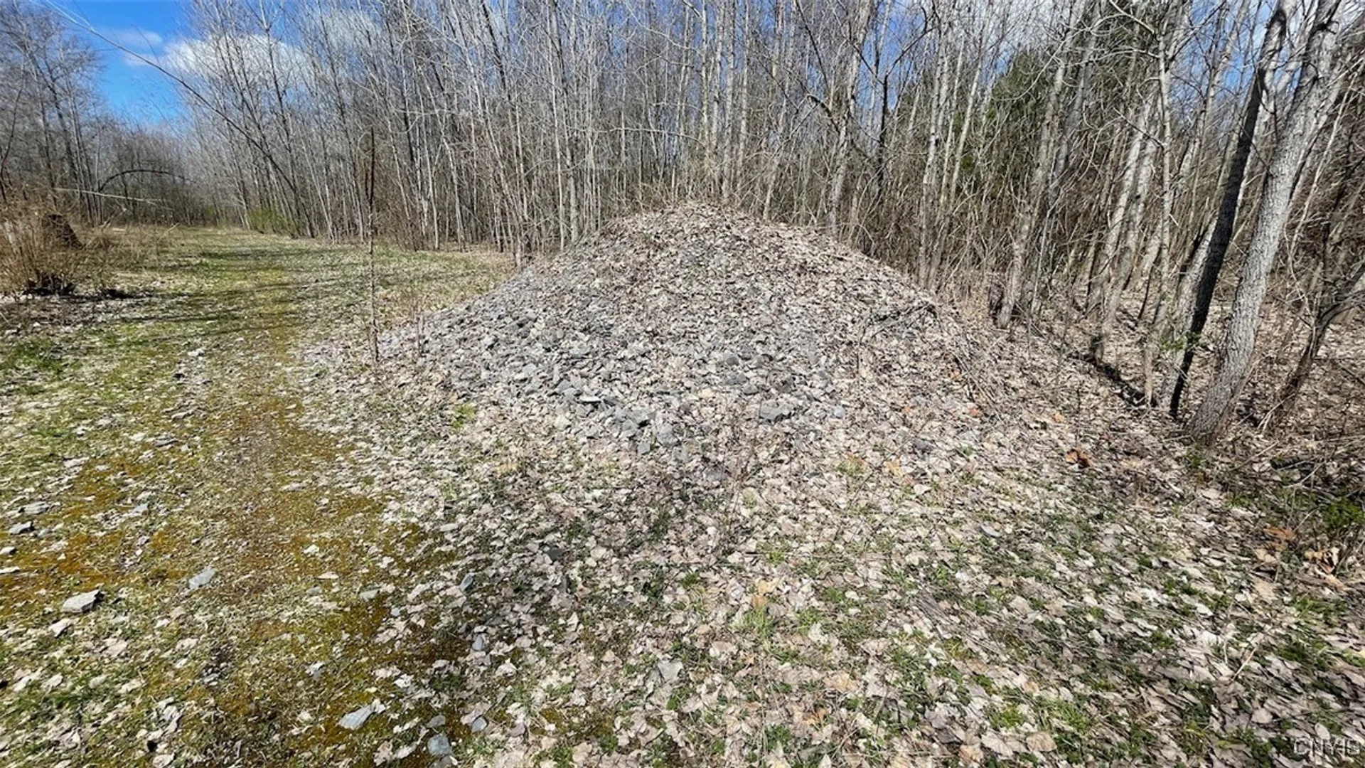 Property at 97 Oswego River Road, Schroeppel, NY 13135 16