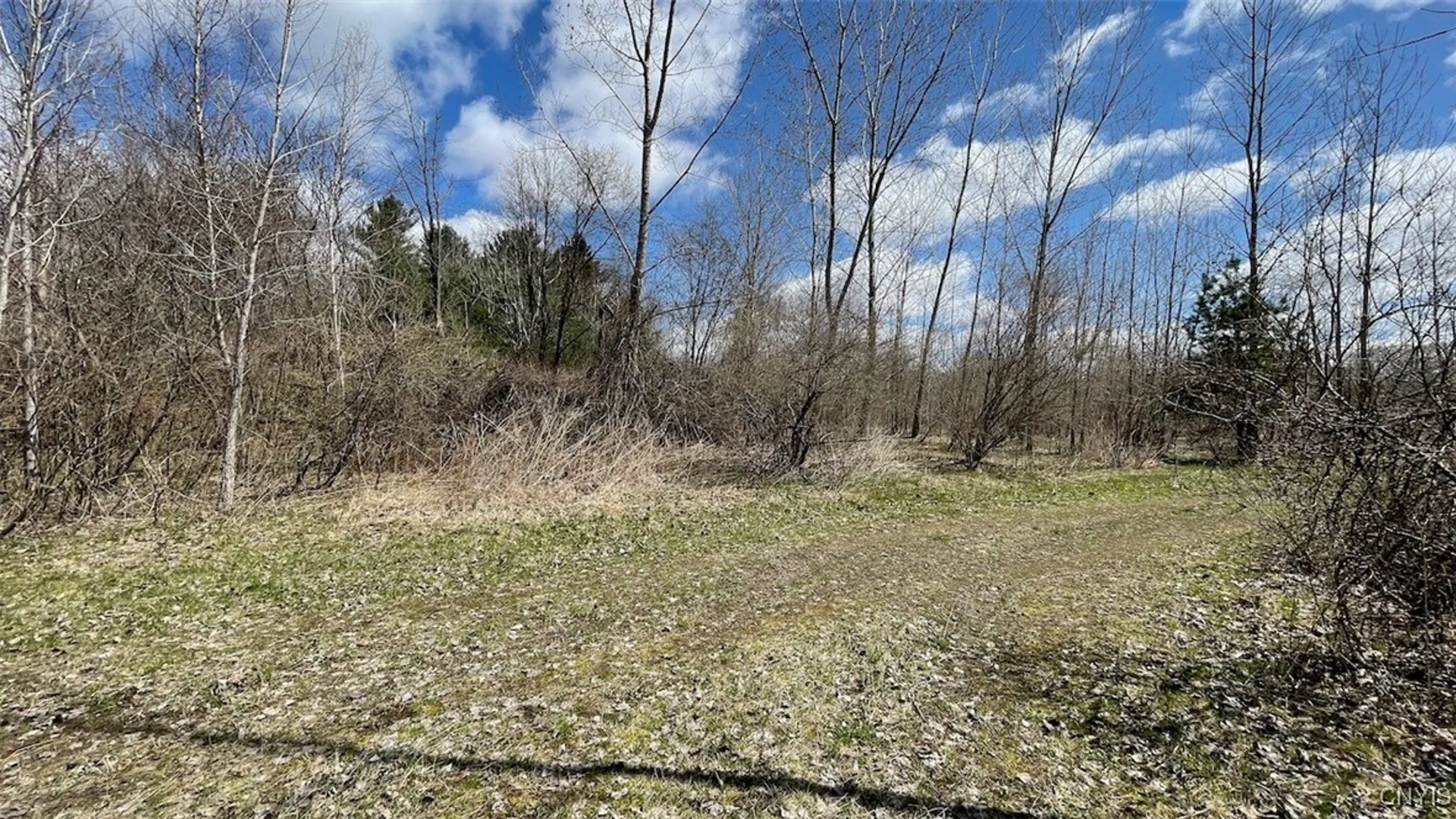 Property at 97 Oswego River Road, Schroeppel, NY 13135 5