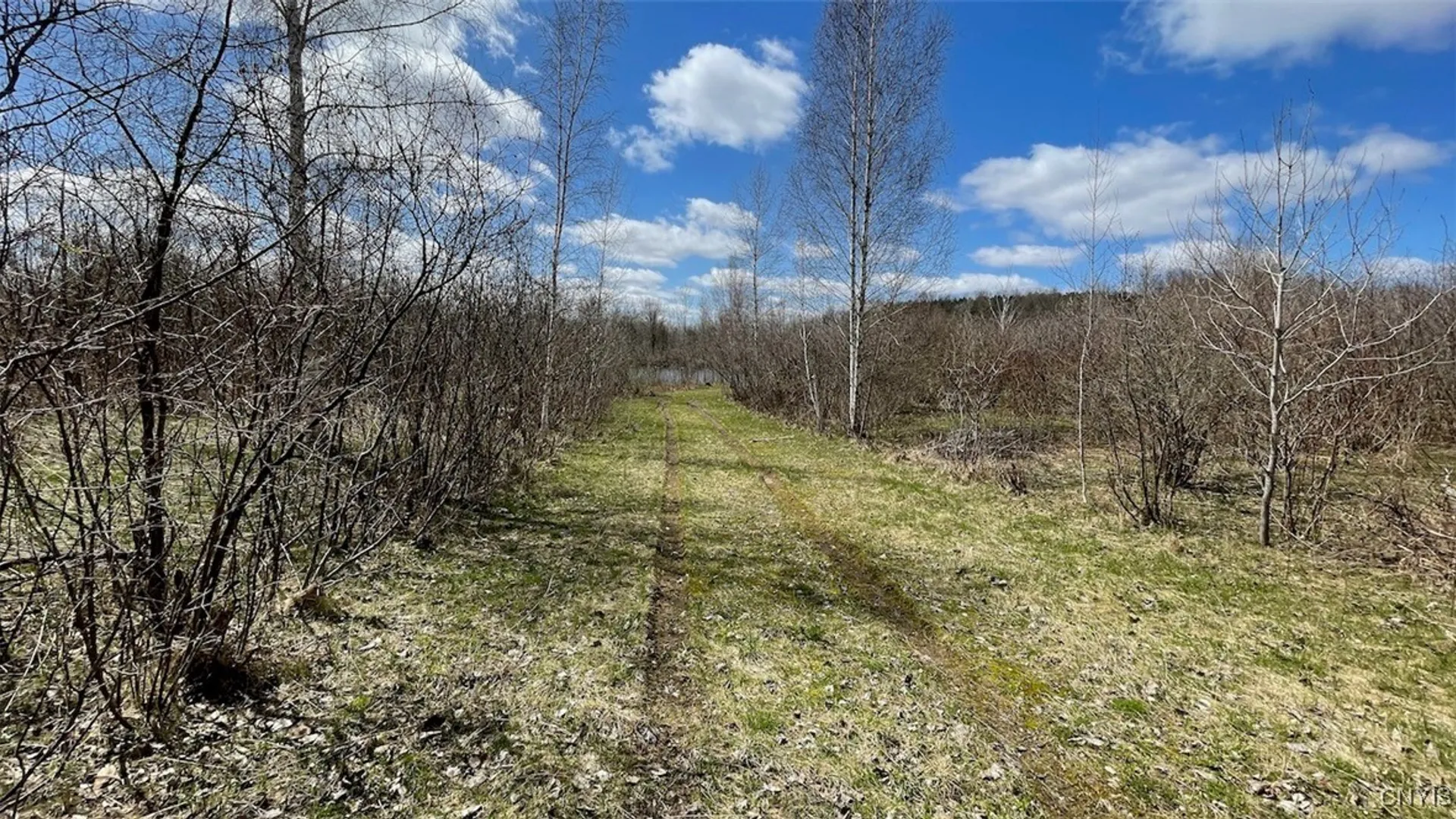 Property at 97 Oswego River Road, Schroeppel, NY 13135 6