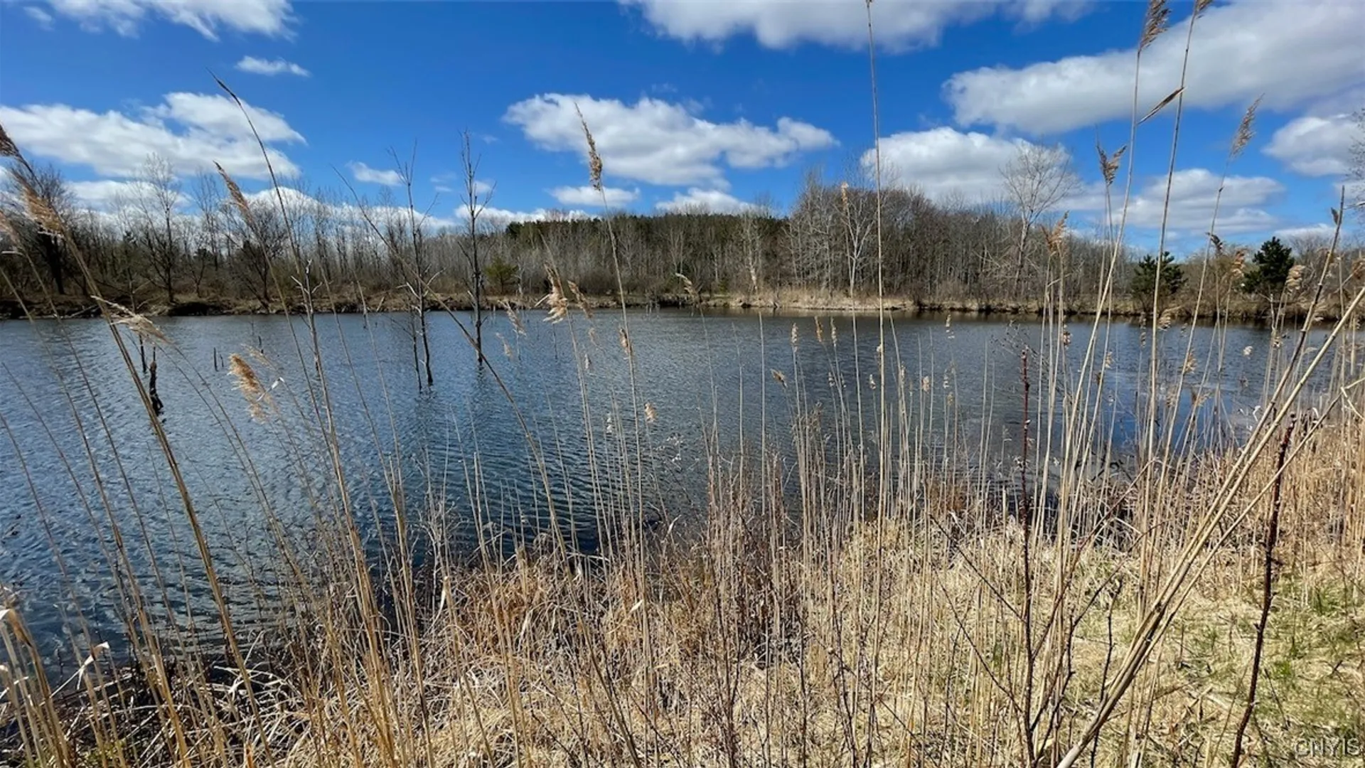 Property at 97 Oswego River Road, Schroeppel, NY 13135 7