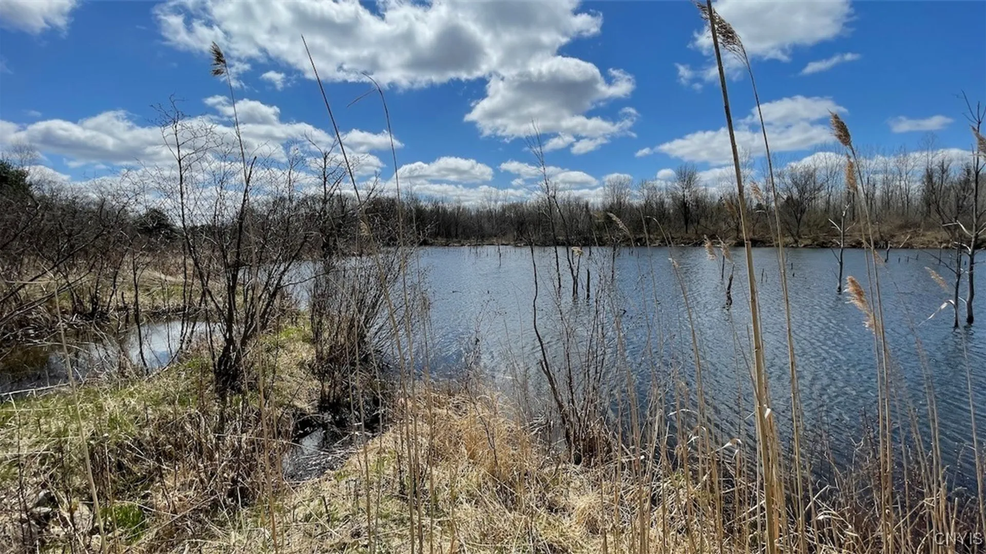 Property at 97 Oswego River Road, Schroeppel, NY 13135 8