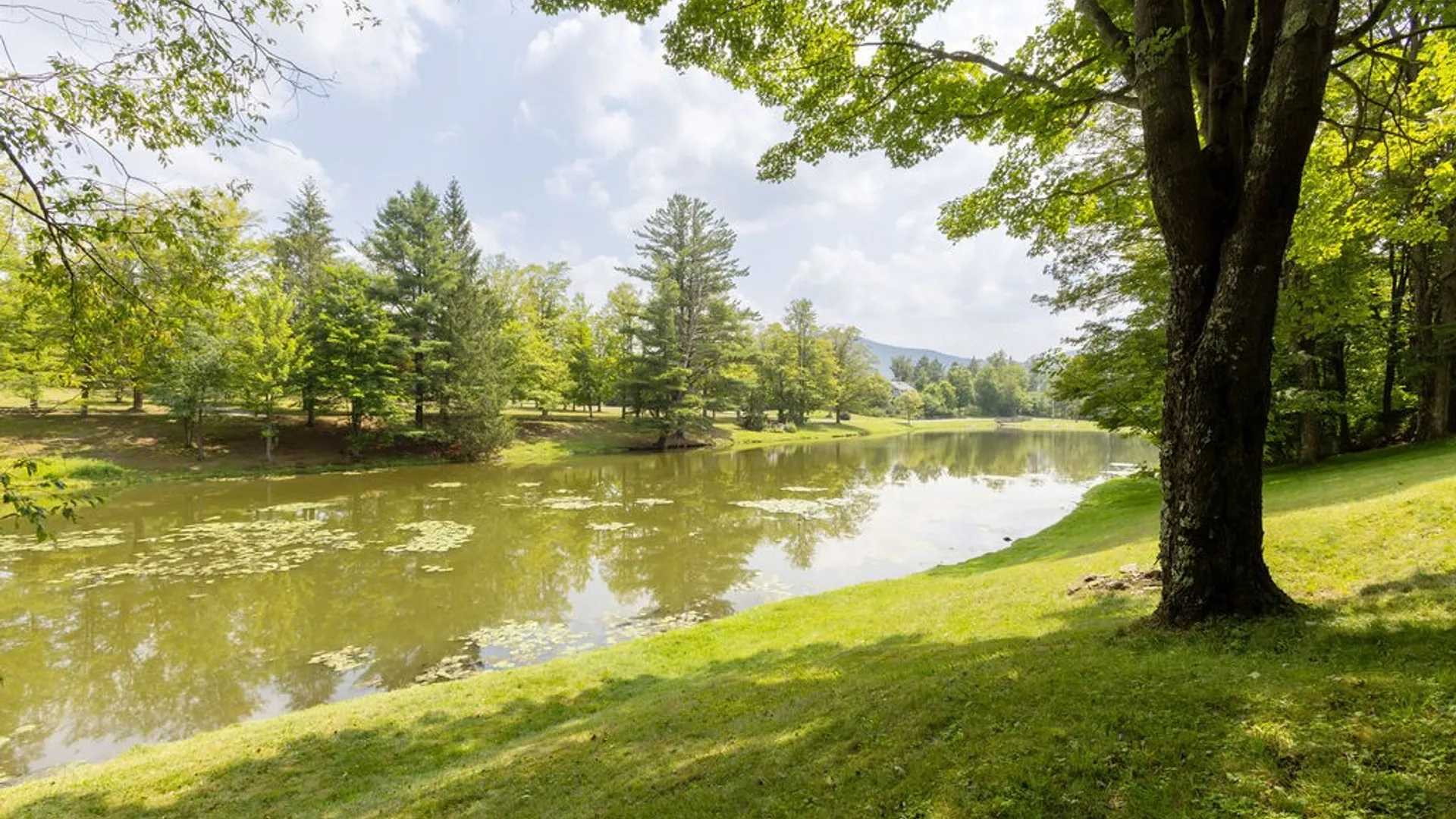 Property at 23599 State Highway 23, Harpersfield, NY 13786 7