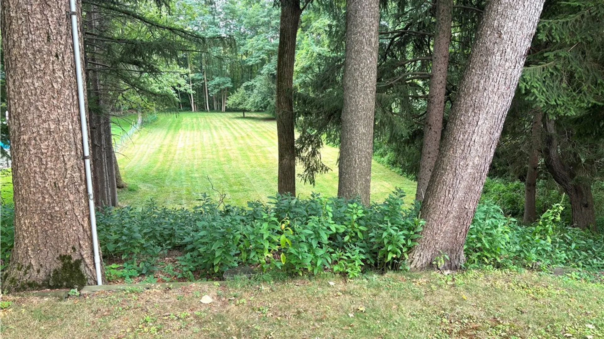 Property at 196 Temple Street, Pomfret, NY 14063 3