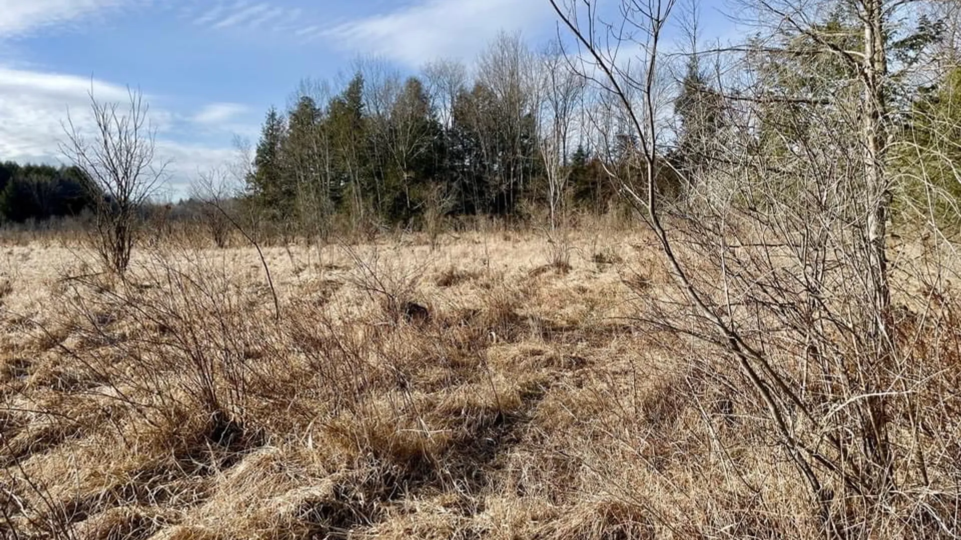 Property at 202 Melick, Root, NY 13317 10