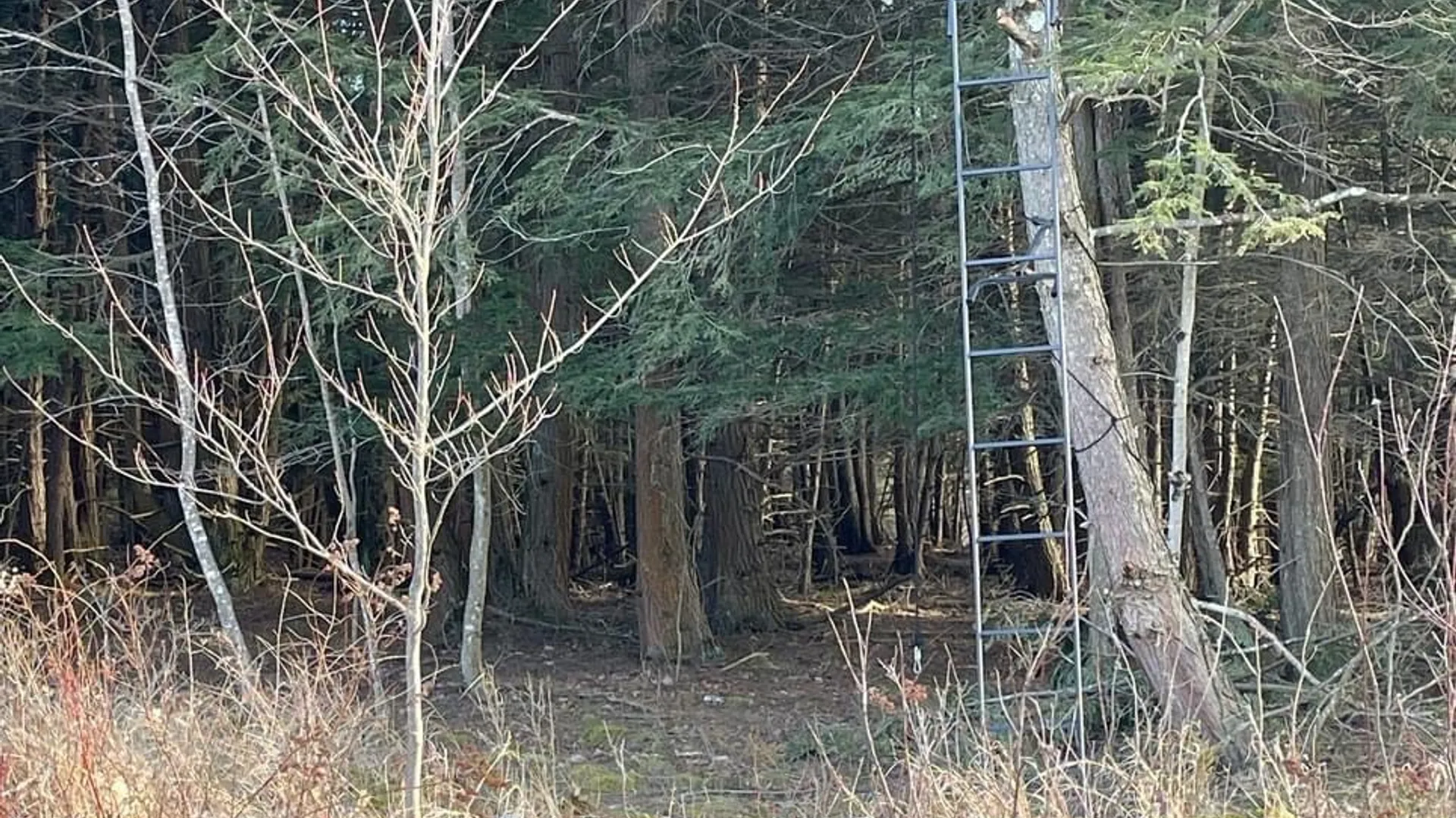 Property at 202 Melick, Root, NY 13317 11