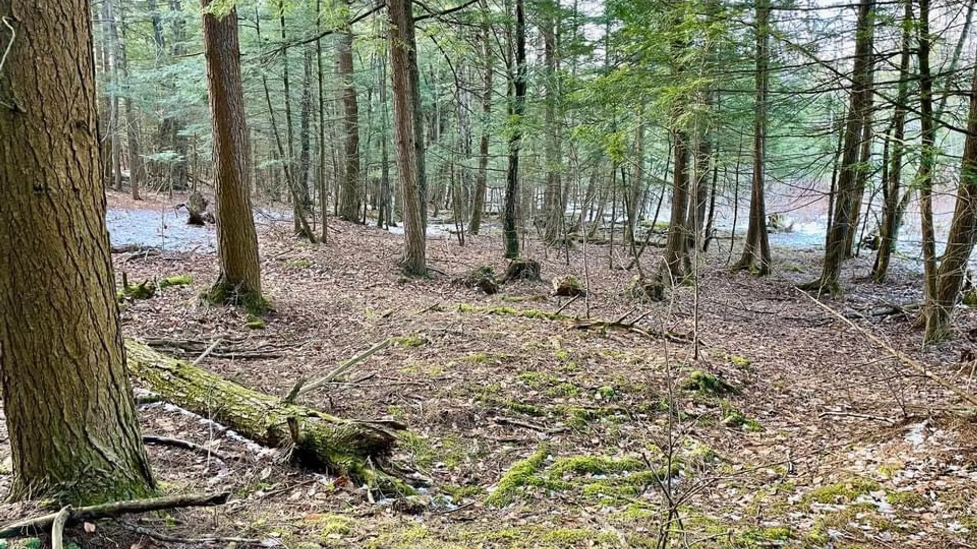 Property at 202 Melick, Root, NY 13317 3