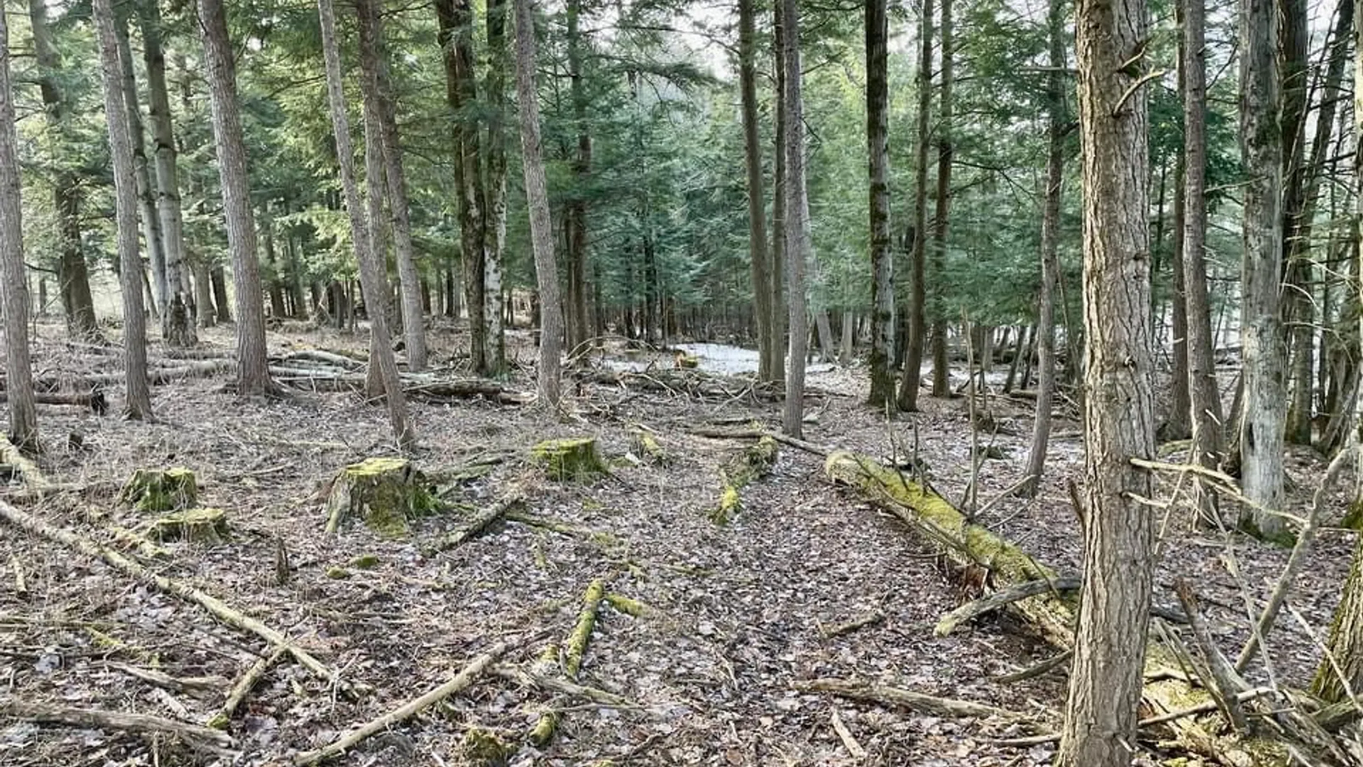 Property at 202 Melick, Root, NY 13317 4