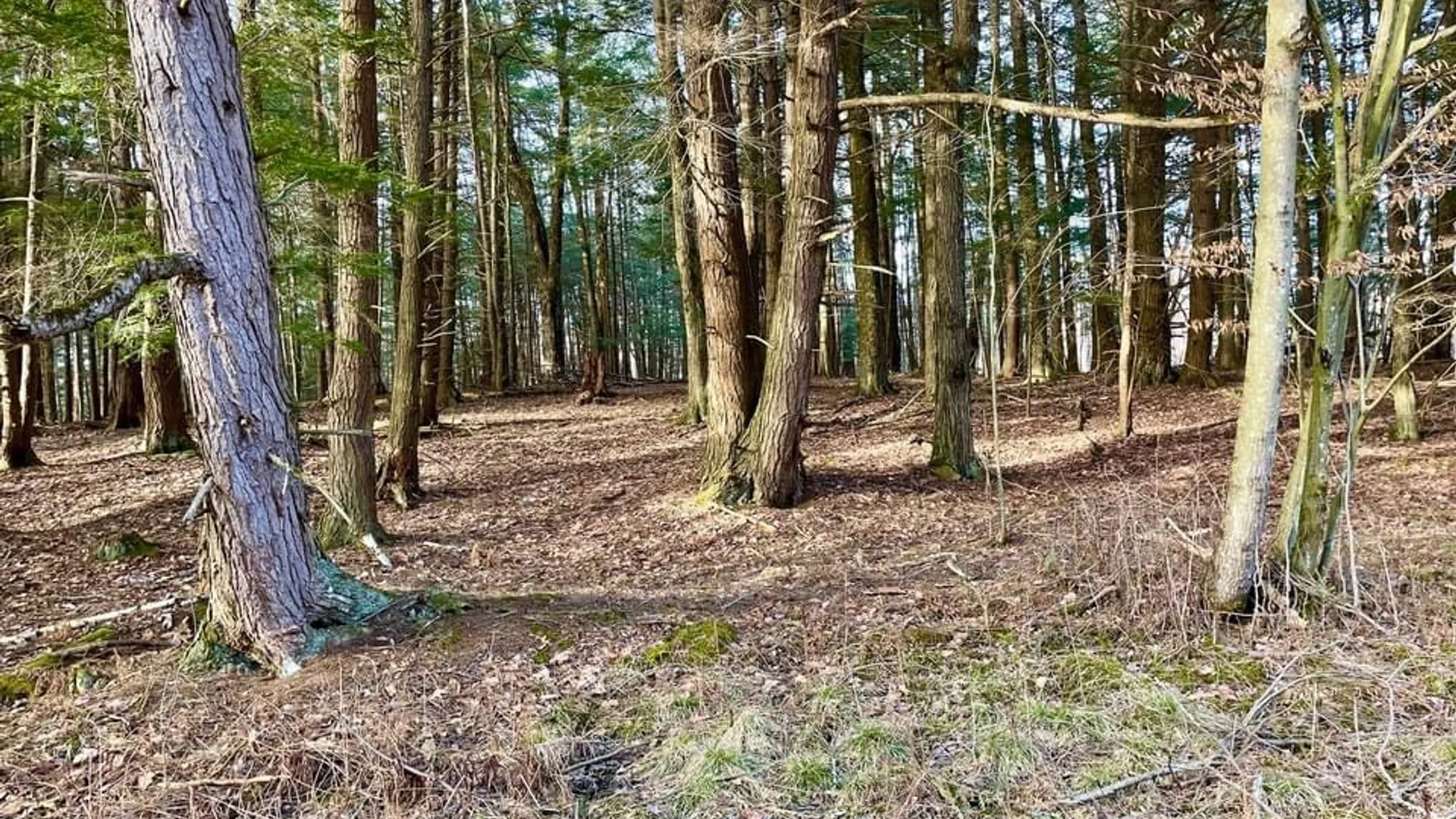 Property at 202 Melick, Root, NY 13317 6