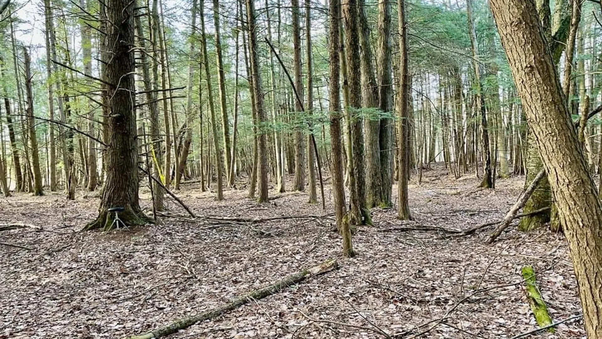 Property at 202 Melick, Root, NY 13317 7