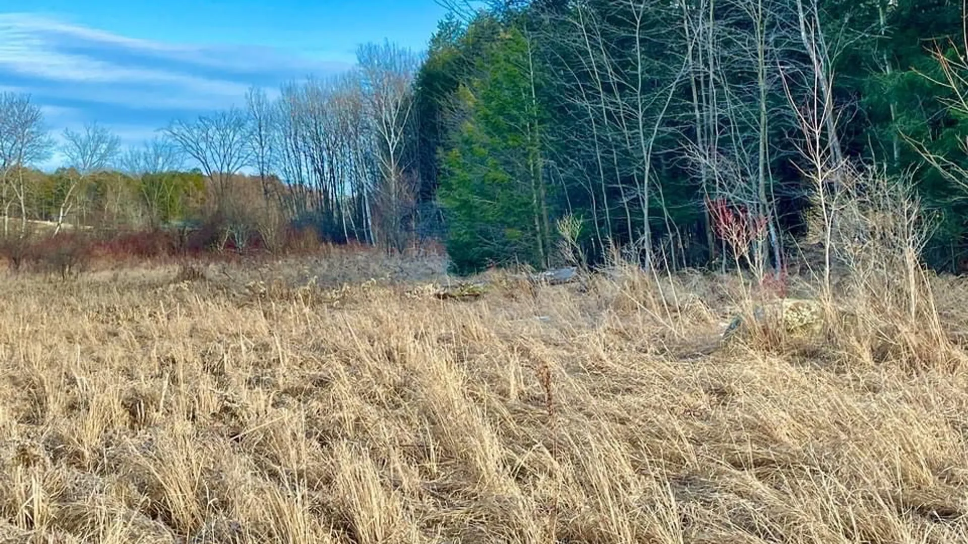 Property at 202 Melick, Root, NY 13317 8