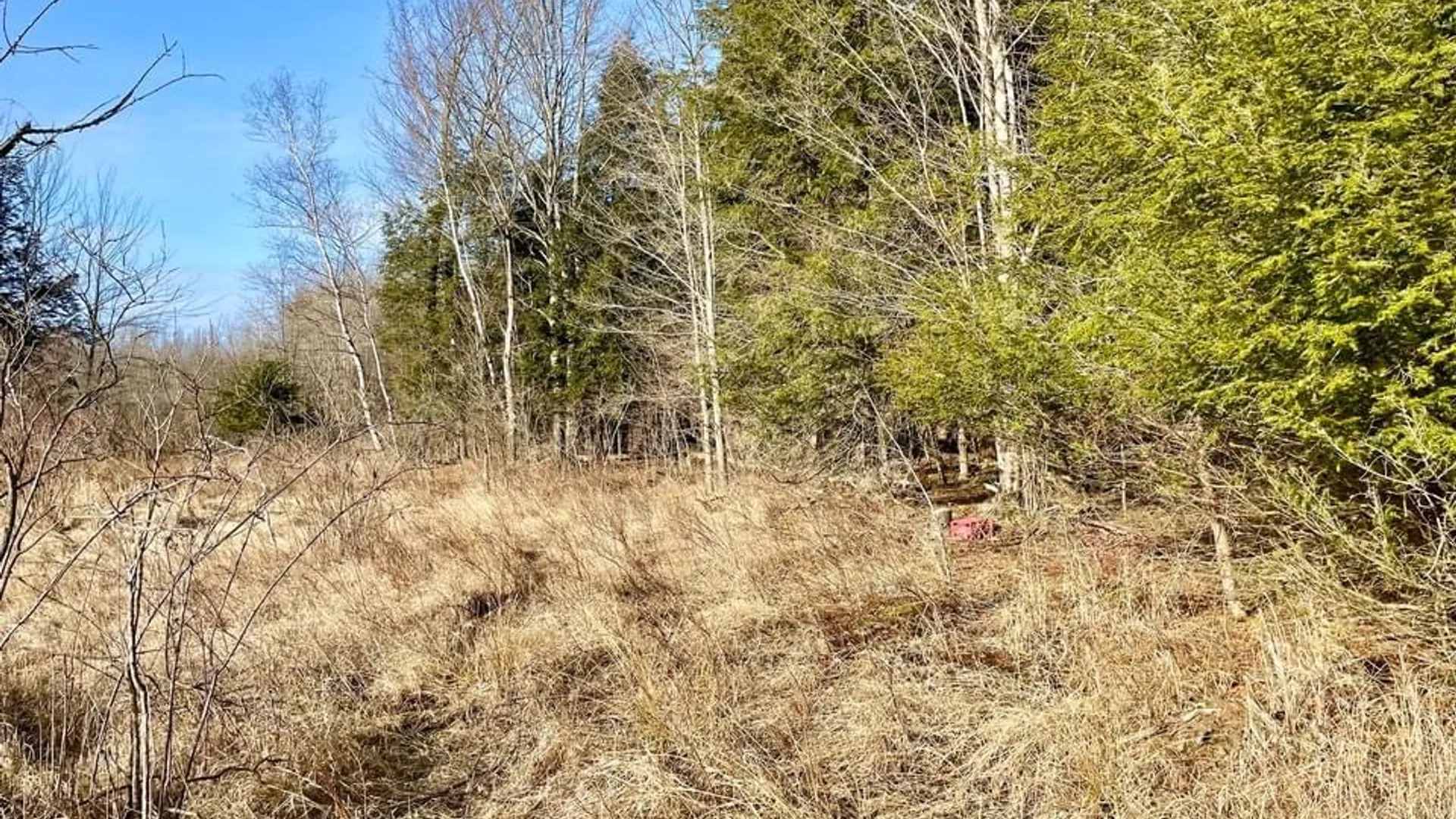 Property at 202 Melick, Root, NY 13317 9