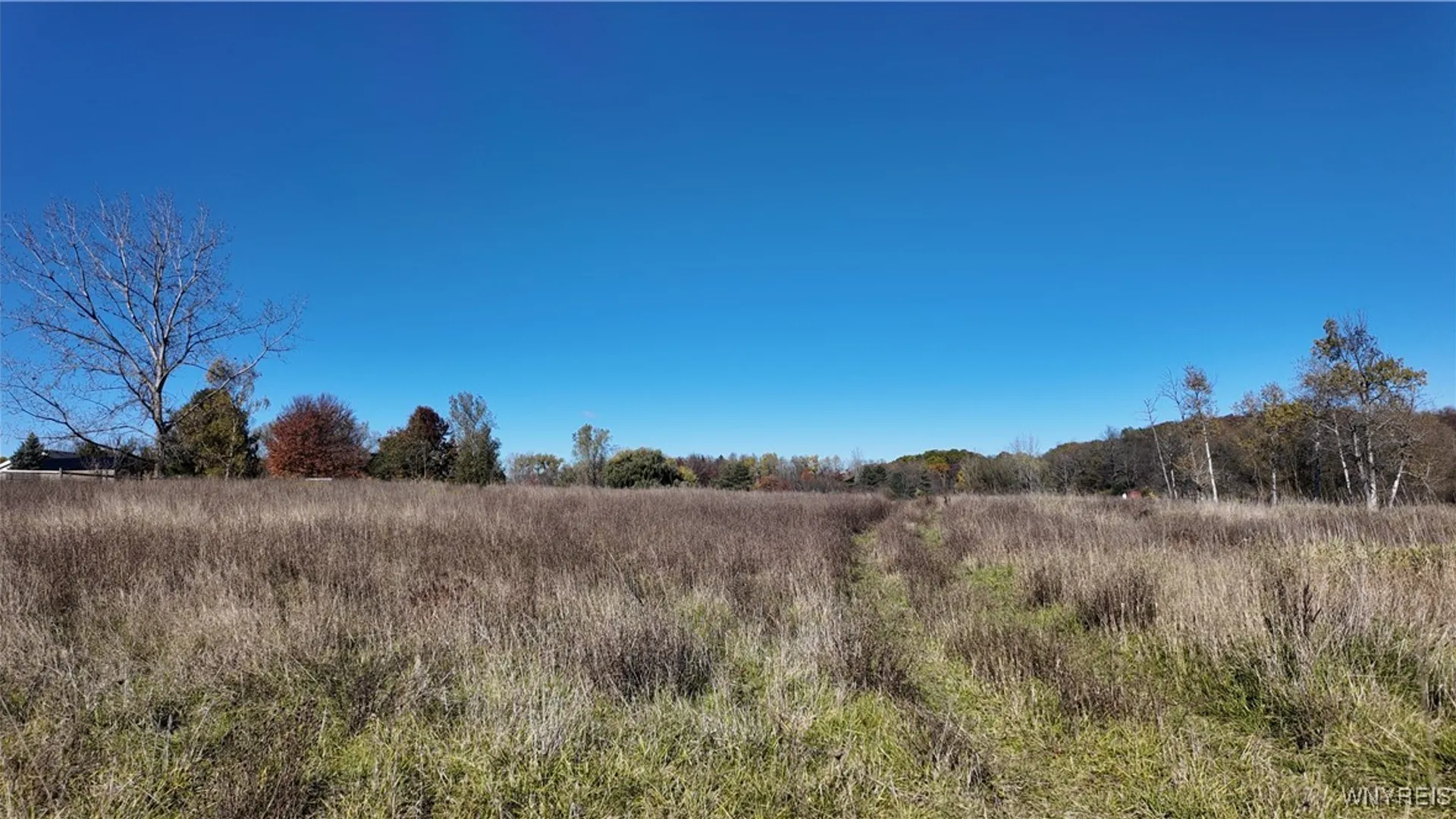 Property at 976 Davis Road, Aurora, NY 14052 28