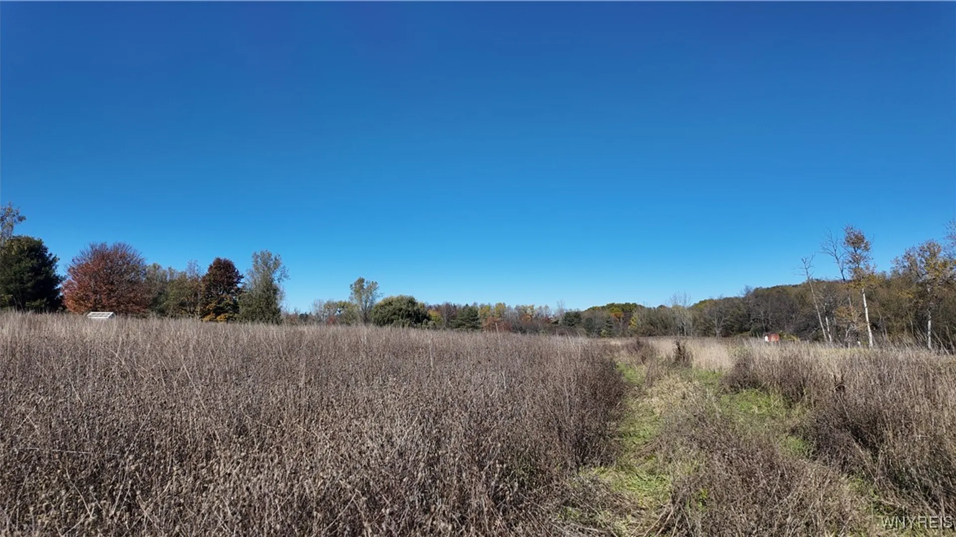 Property at 976 Davis Road, Aurora, NY 14052 30