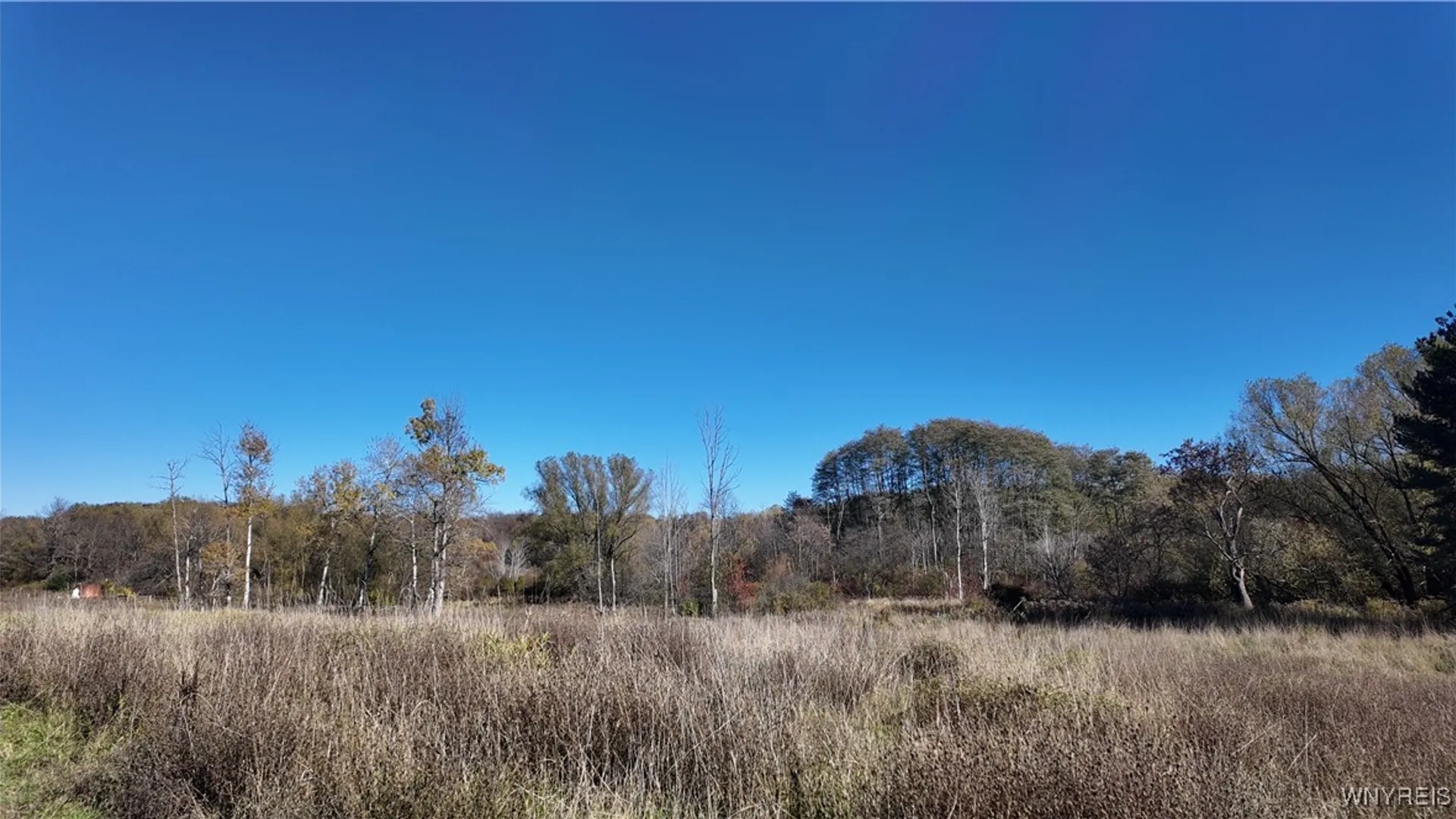 Property at 976 Davis Road, Aurora, NY 14052 31