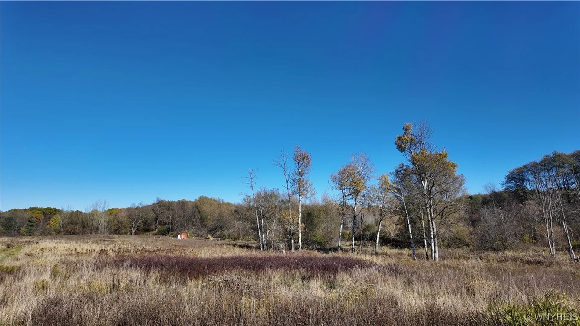 Property at 976 Davis Road, Aurora, NY 14052 33