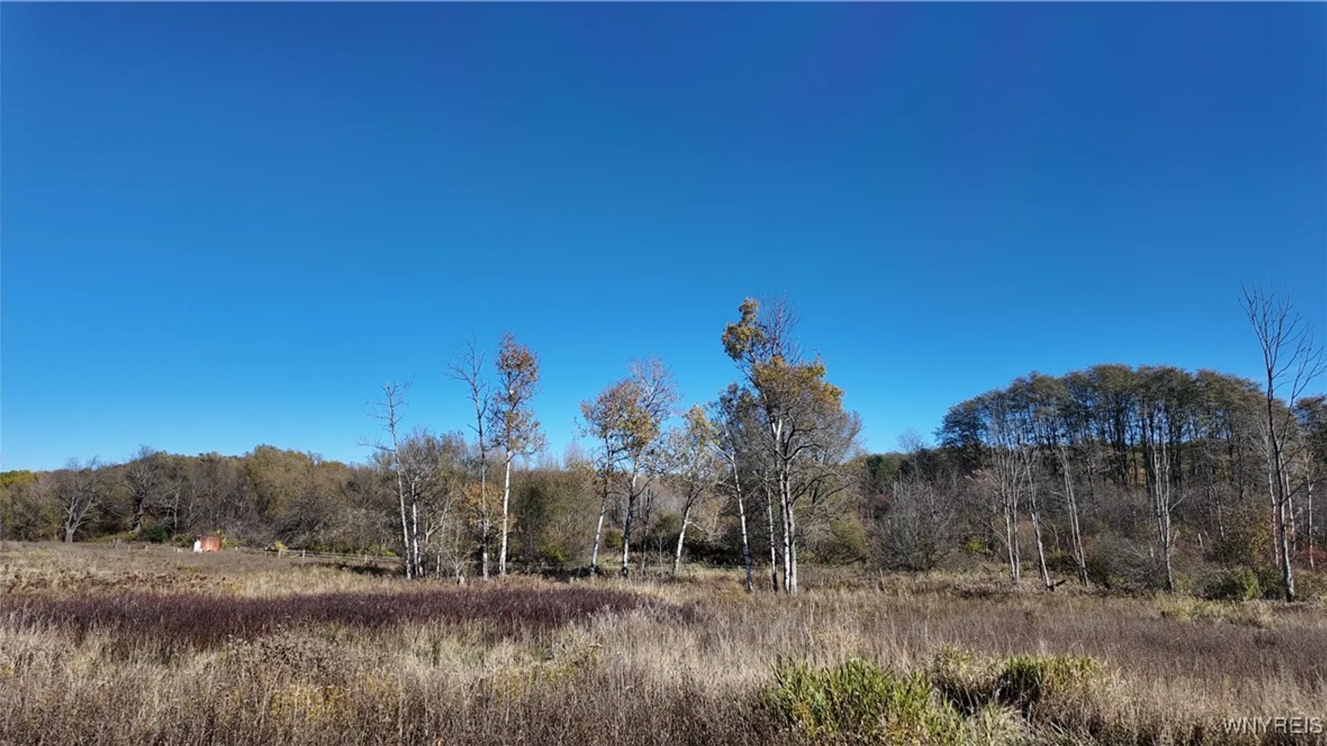 Property at 976 Davis Road, Aurora, NY 14052 35