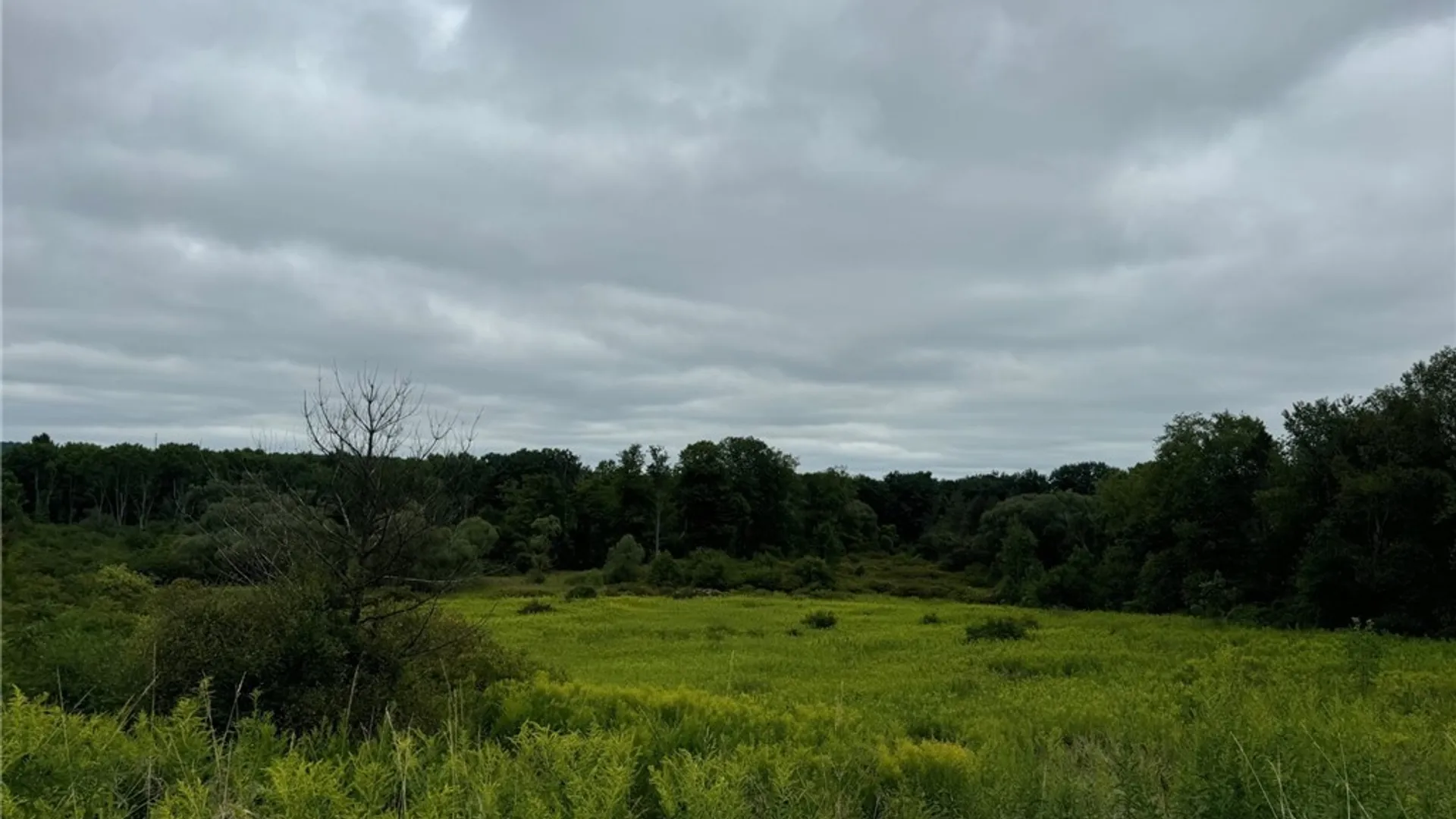 Property at 3732 Falconer Kimble Stan Falconer Kimball Stand Rd, Ellicott, NY 14733 2