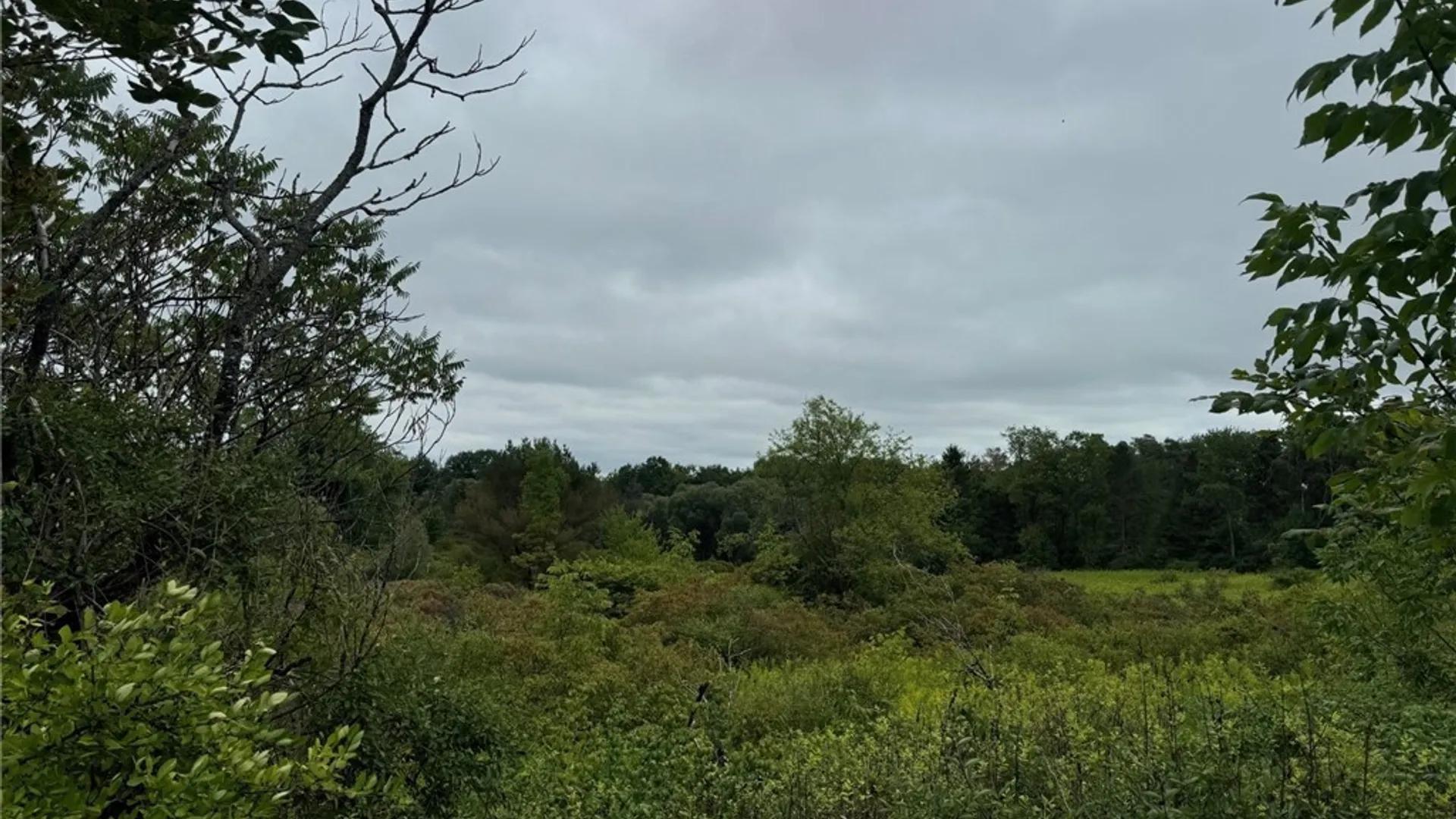 Property at 3732 Falconer Kimble Stan Falconer Kimball Stand Rd, Ellicott, NY 14733 3