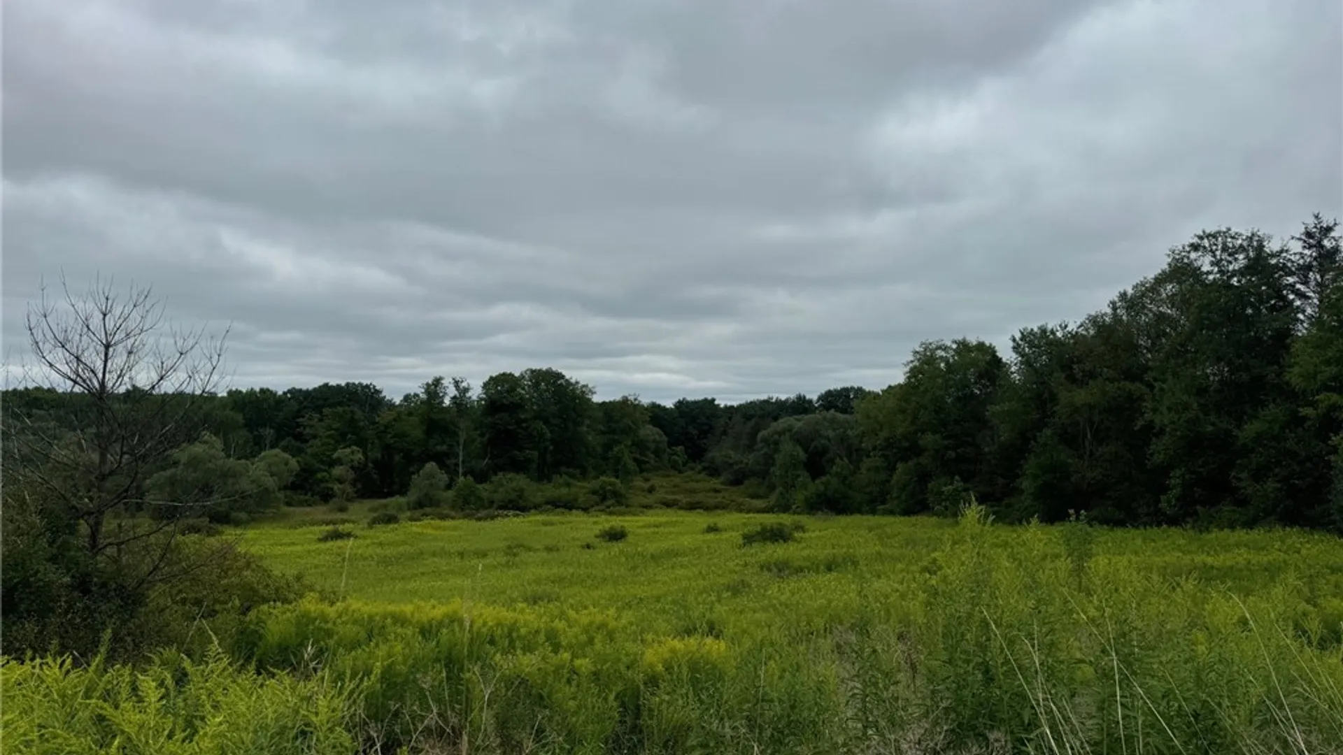 Property at 3732 Falconer Kimble Stan Falconer Kimball Stand Rd, Ellicott, NY 14733 4