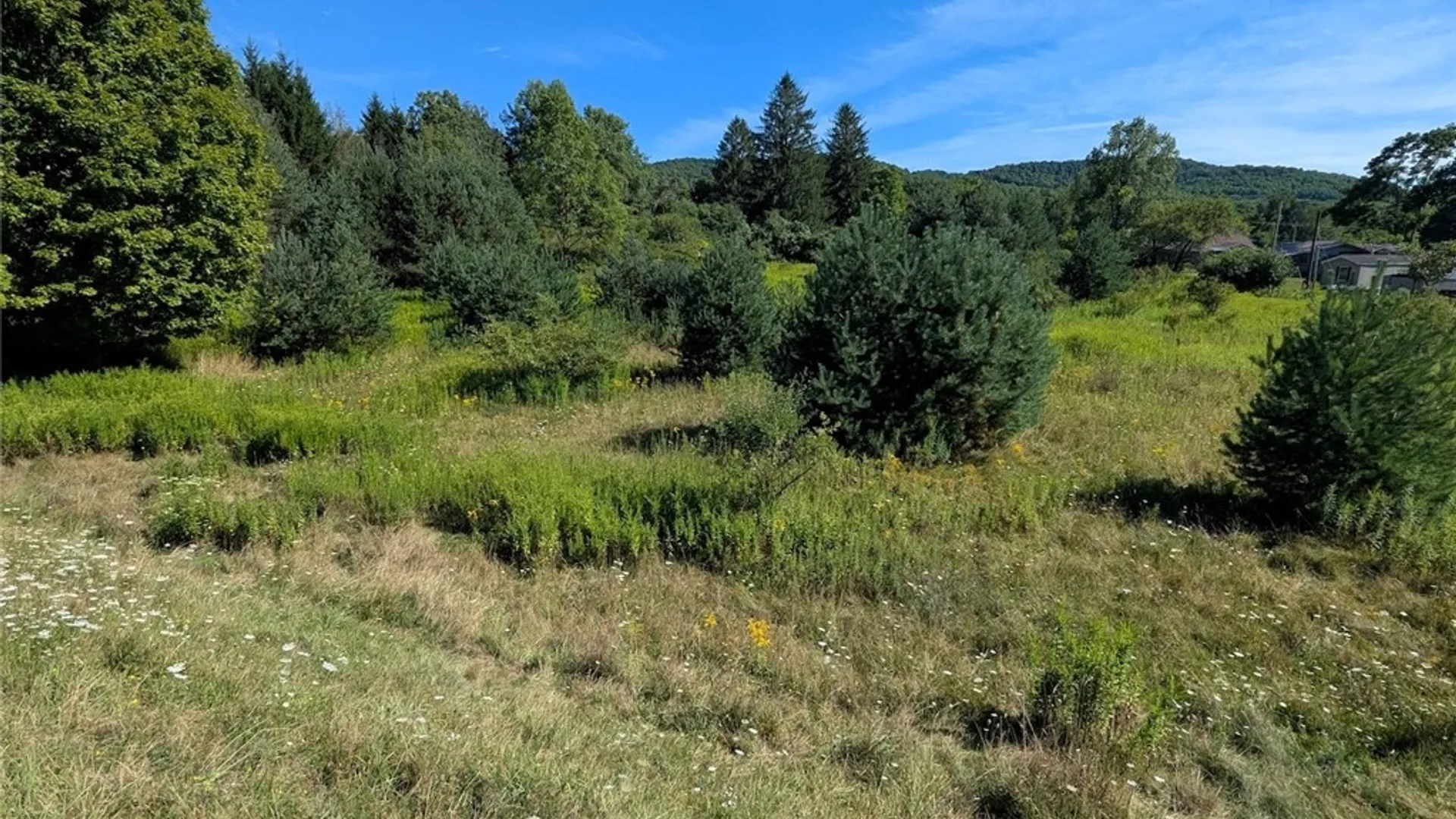 Property at 3452 Baldwin Road, Wellsville, NY 14895 19