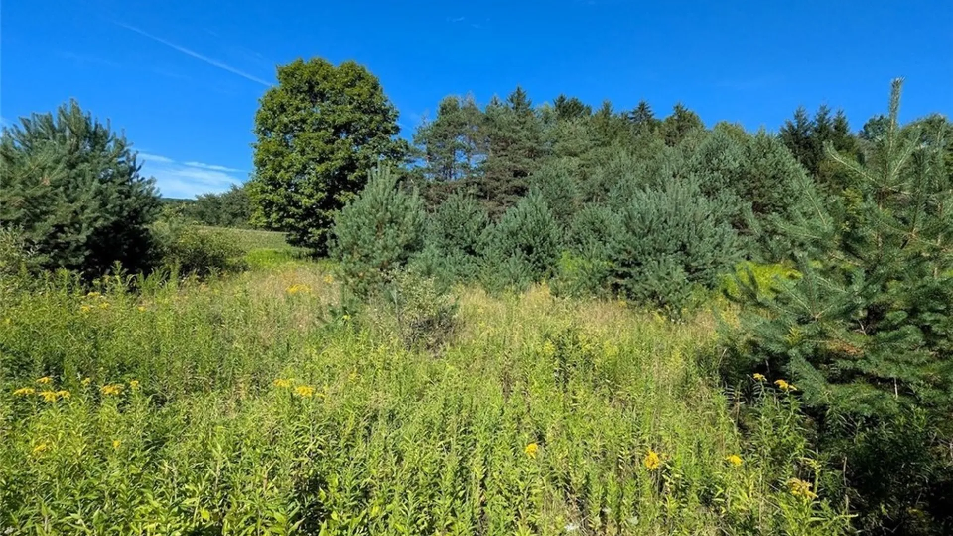 Property at 3452 Baldwin Road, Wellsville, NY 14895 21