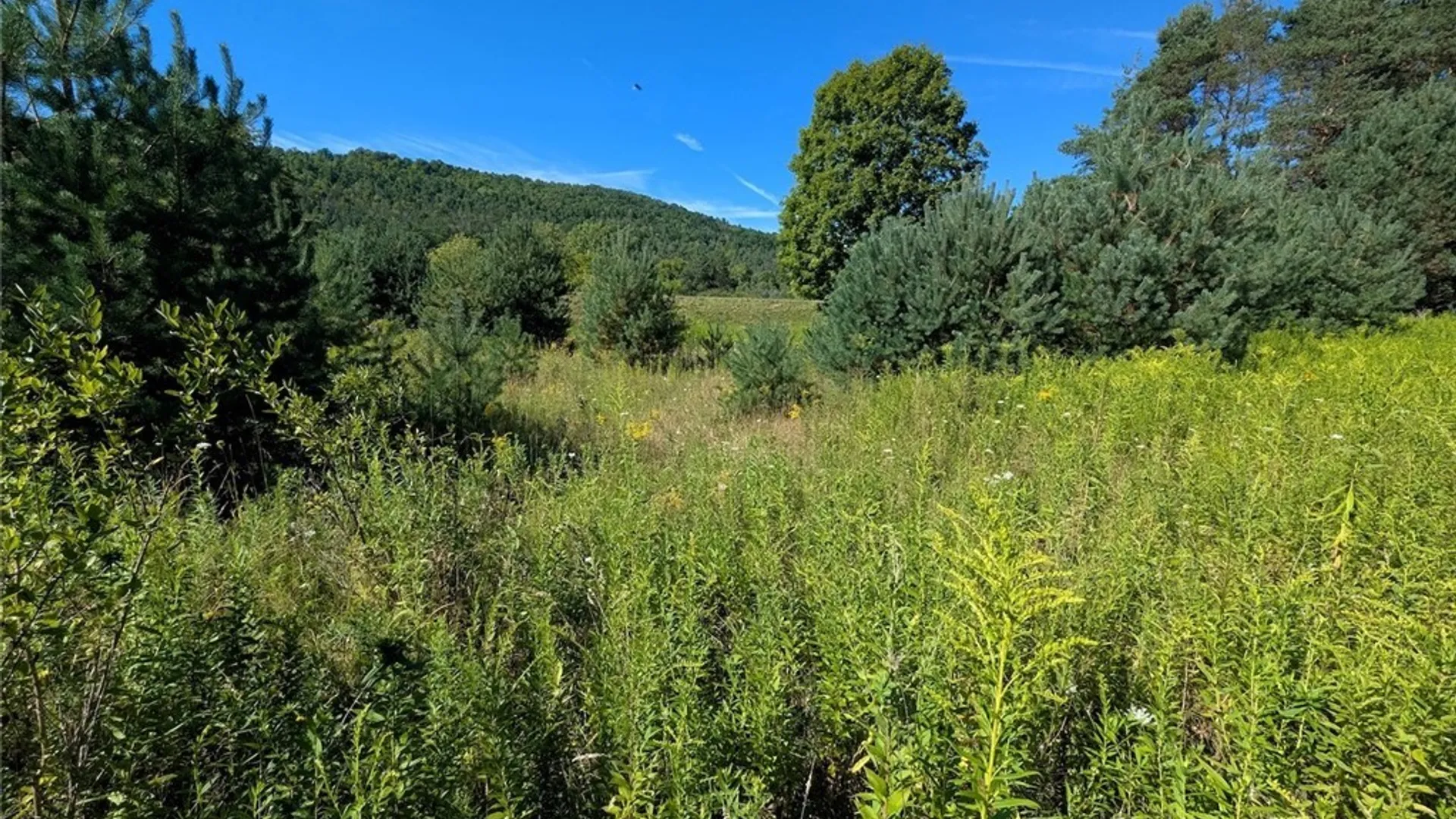 Property at 3452 Baldwin Road, Wellsville, NY 14895 22