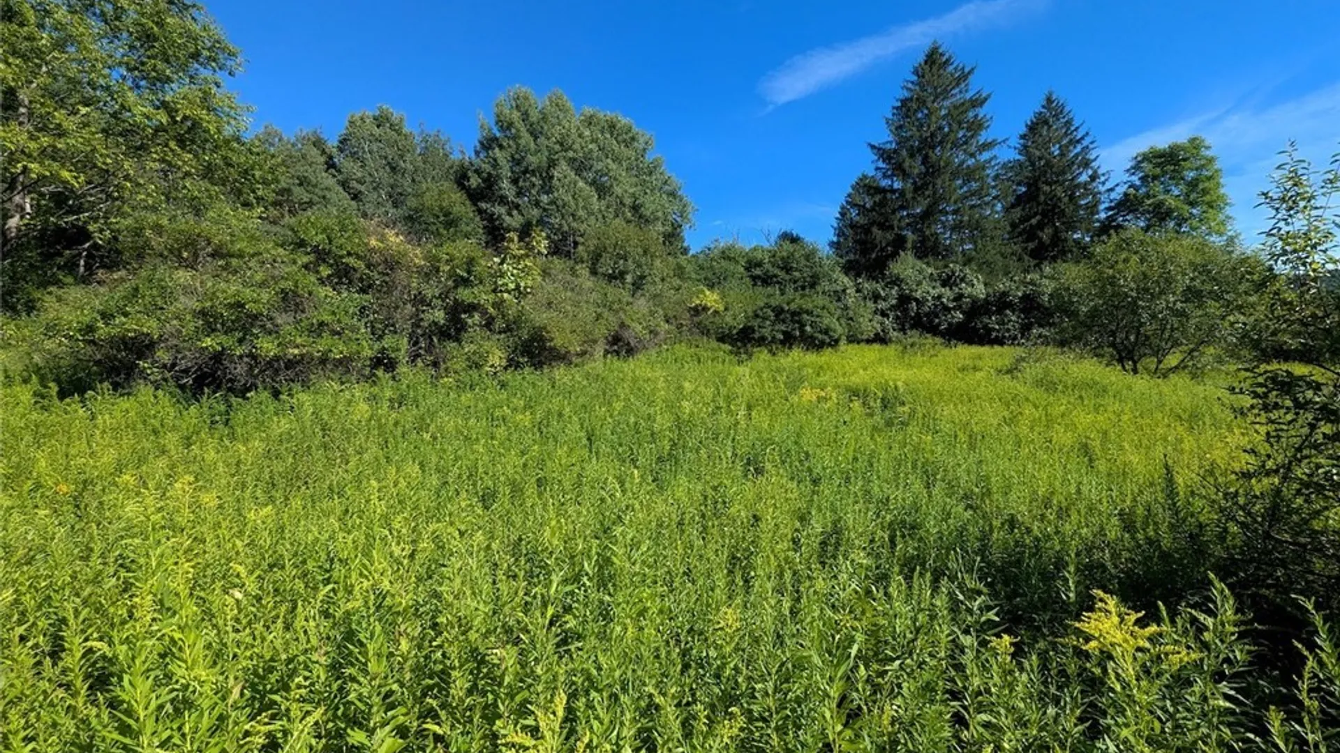 Property at 3452 Baldwin Road, Wellsville, NY 14895 23