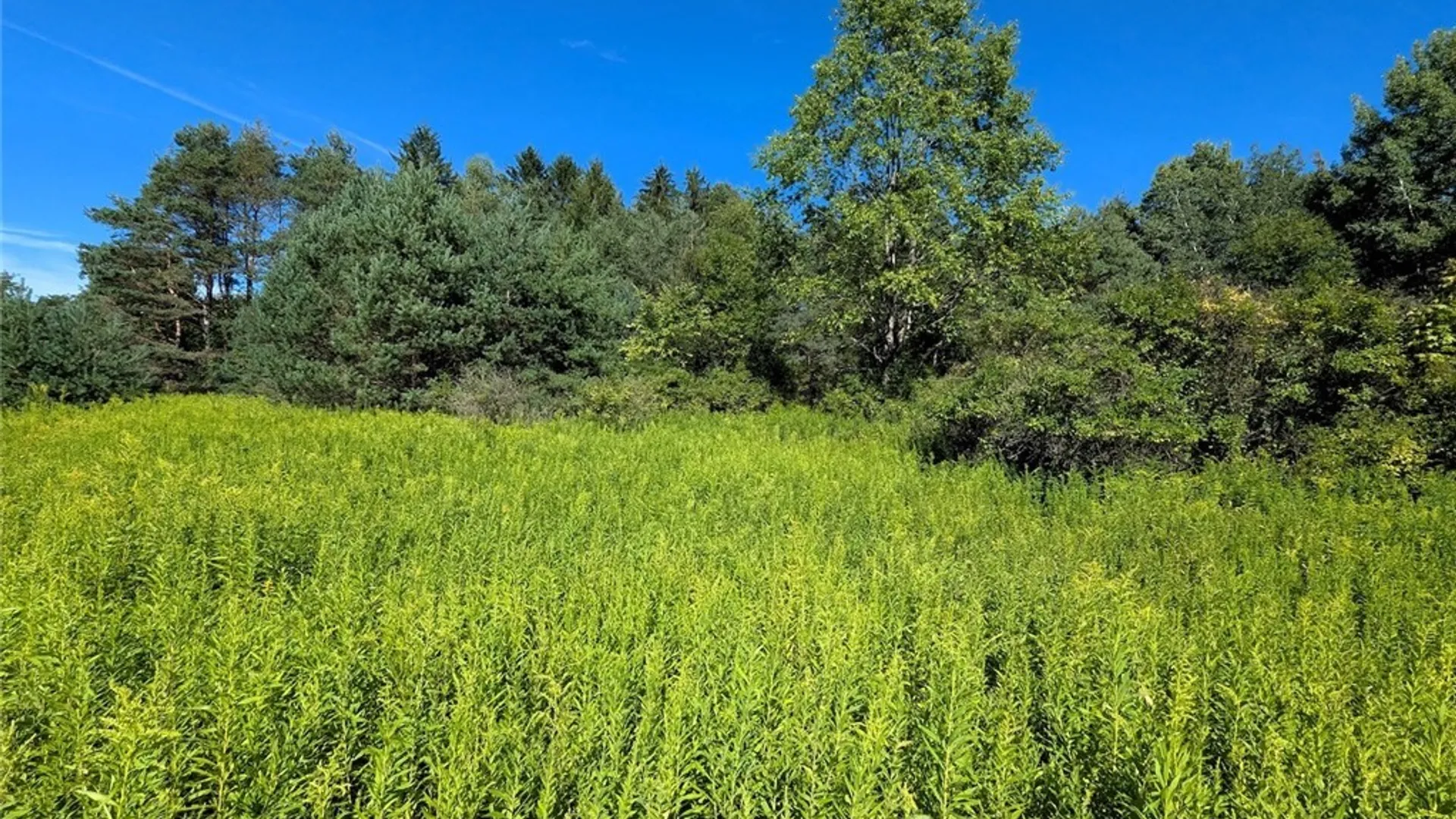 Property at 3452 Baldwin Road, Wellsville, NY 14895 24