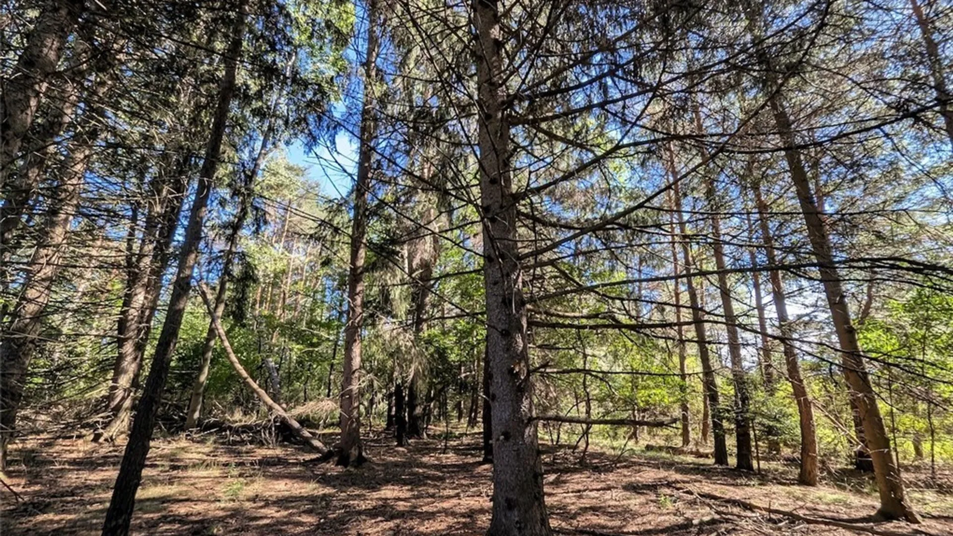 Property at 3452 Baldwin Road, Wellsville, NY 14895 25