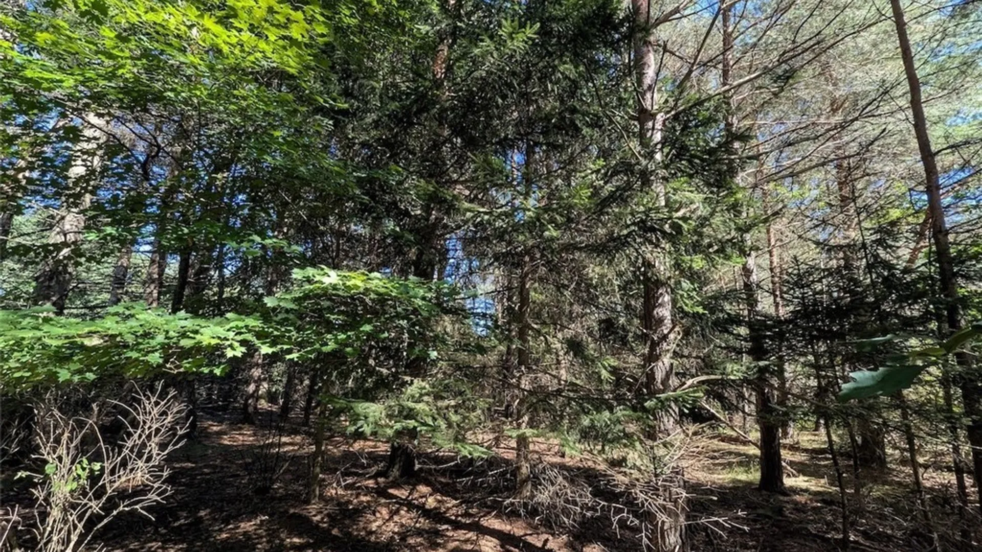 Property at 3452 Baldwin Road, Wellsville, NY 14895 26