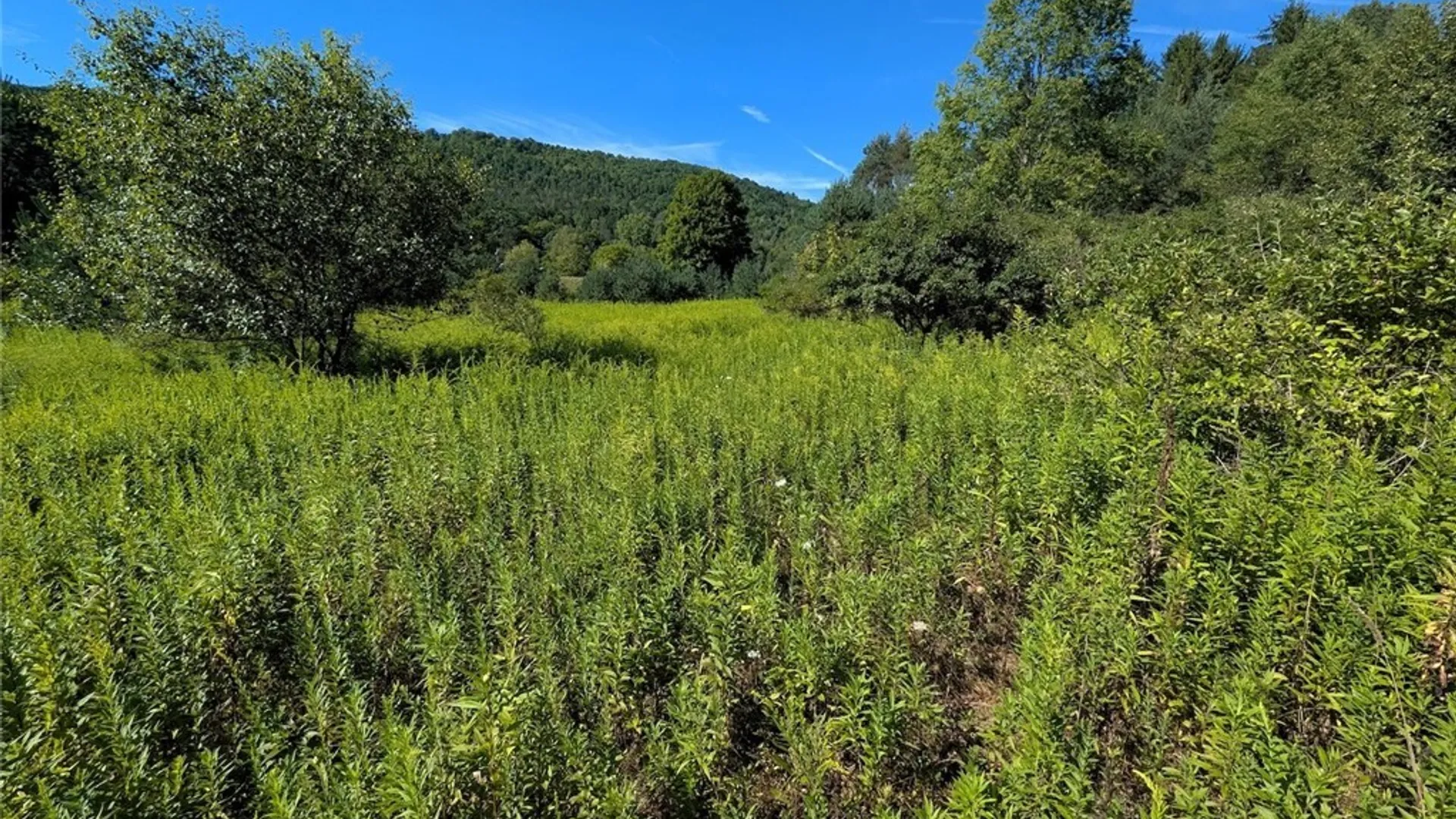 Property at 3452 Baldwin Road, Wellsville, NY 14895 29