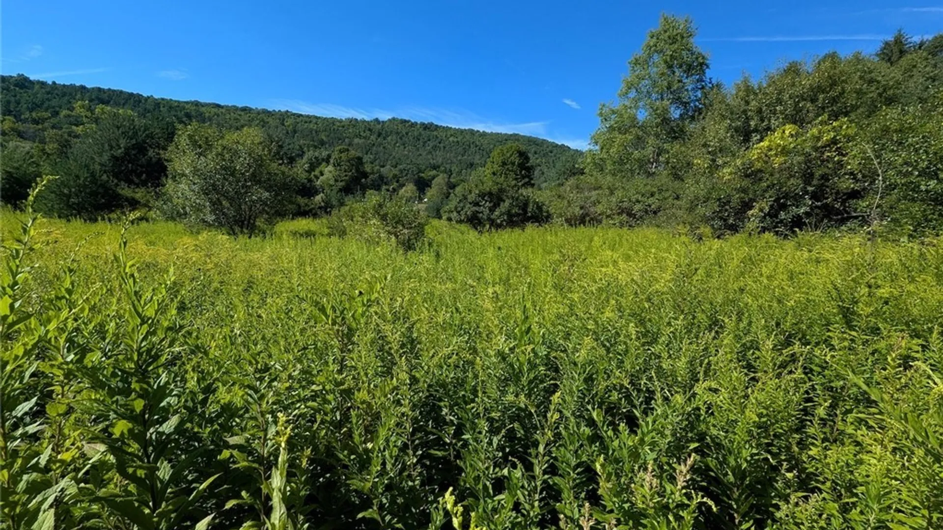 Property at 3452 Baldwin Road, Wellsville, NY 14895 30