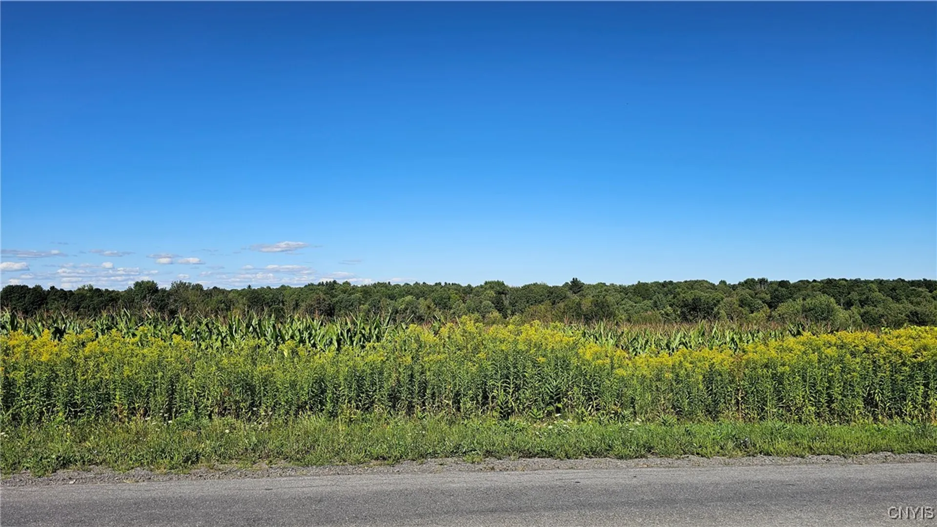 Property at 10730 Old State Road, Denmark, NY 13619 2