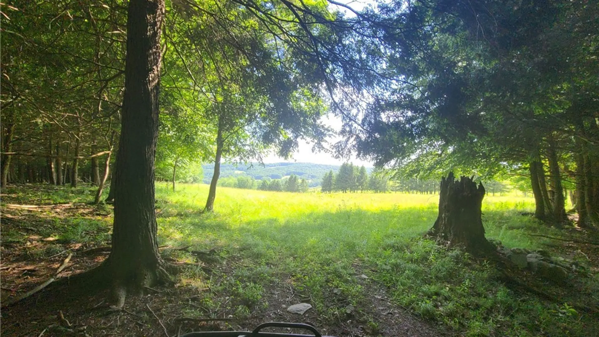 Property at 213 Button Road, Columbus, NY 13485 10