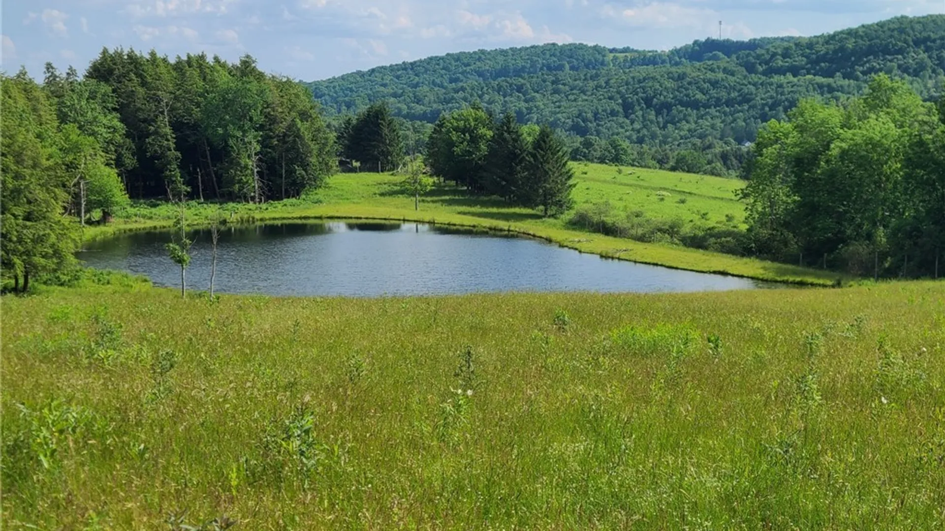 Property at 213 Button Road, Columbus, NY 13485 12