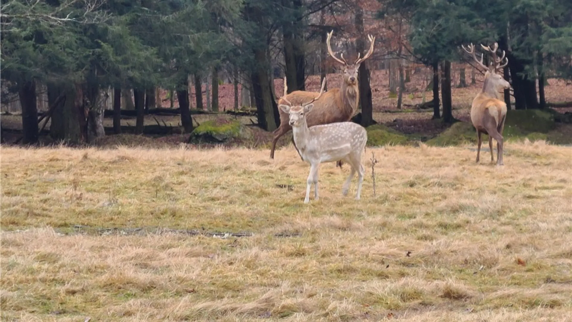 Property at 213 Button Road, Columbus, NY 13485 14