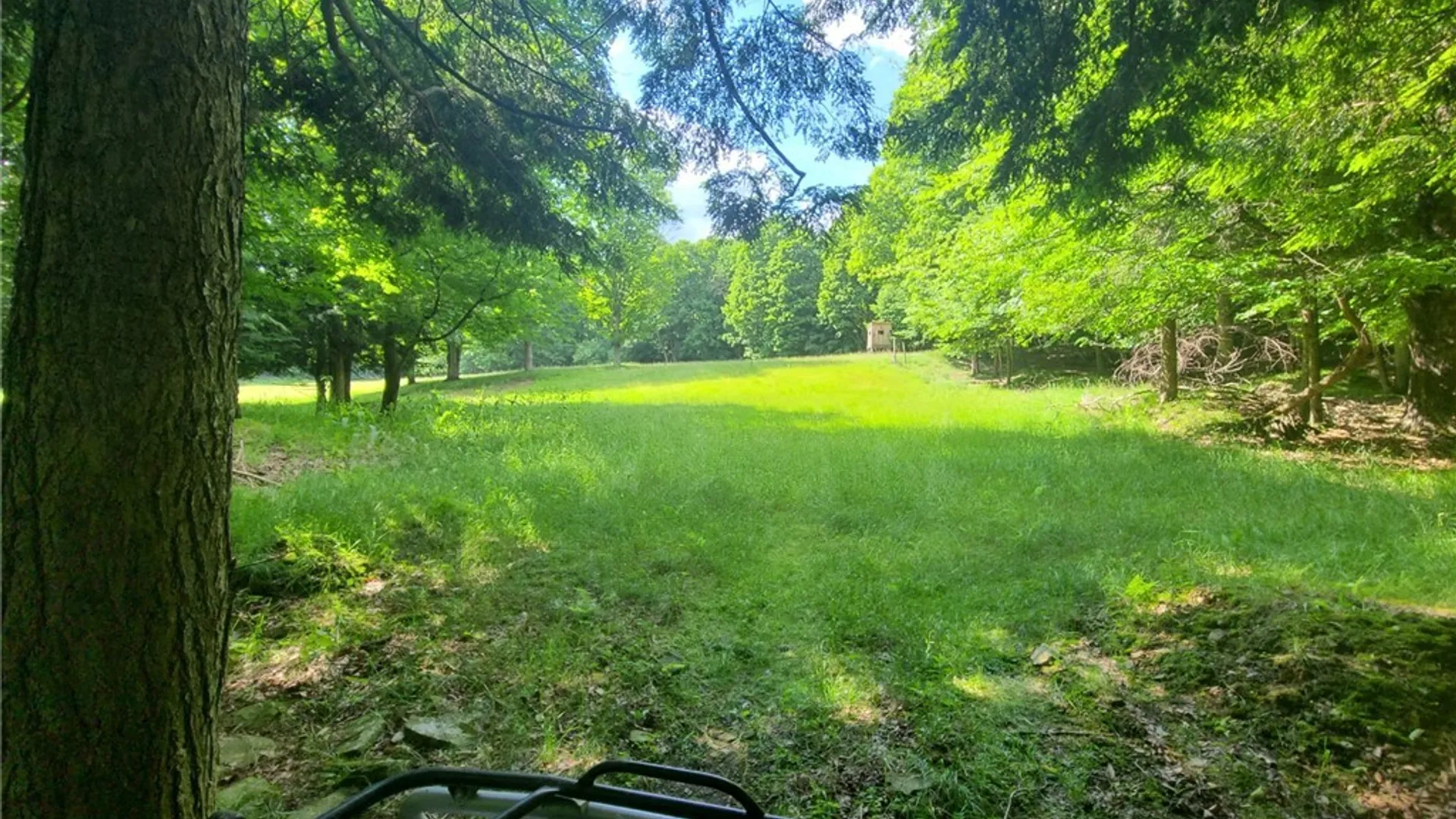 Property at 213 Button Road, Columbus, NY 13485 16