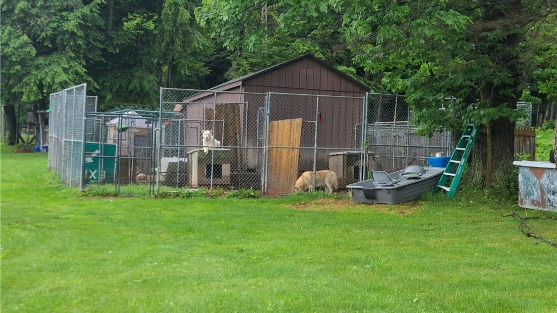 Property at 213 Button Road, Columbus, NY 13485 19