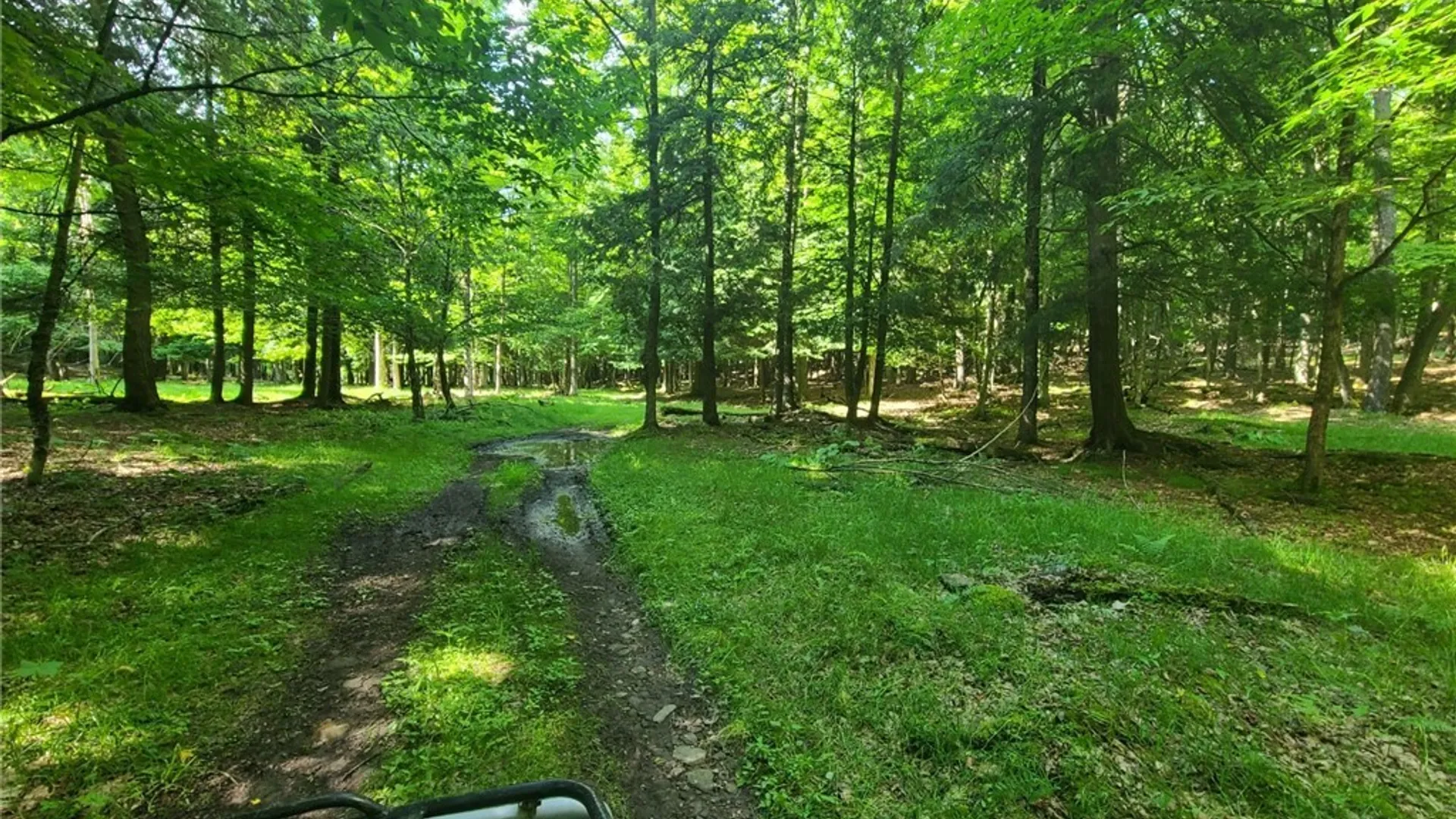 Property at 213 Button Road, Columbus, NY 13485 20