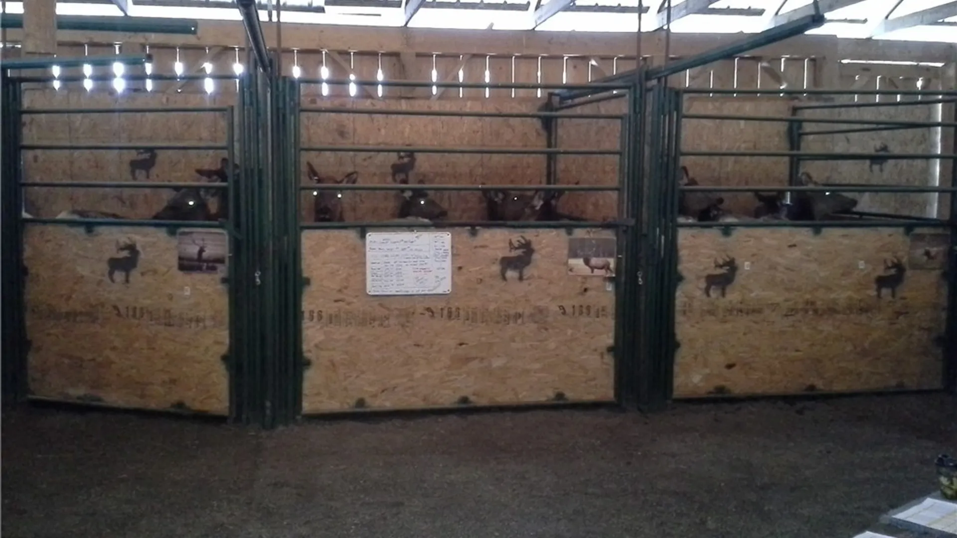 Property at 213 Button Road, Columbus, NY 13485 23