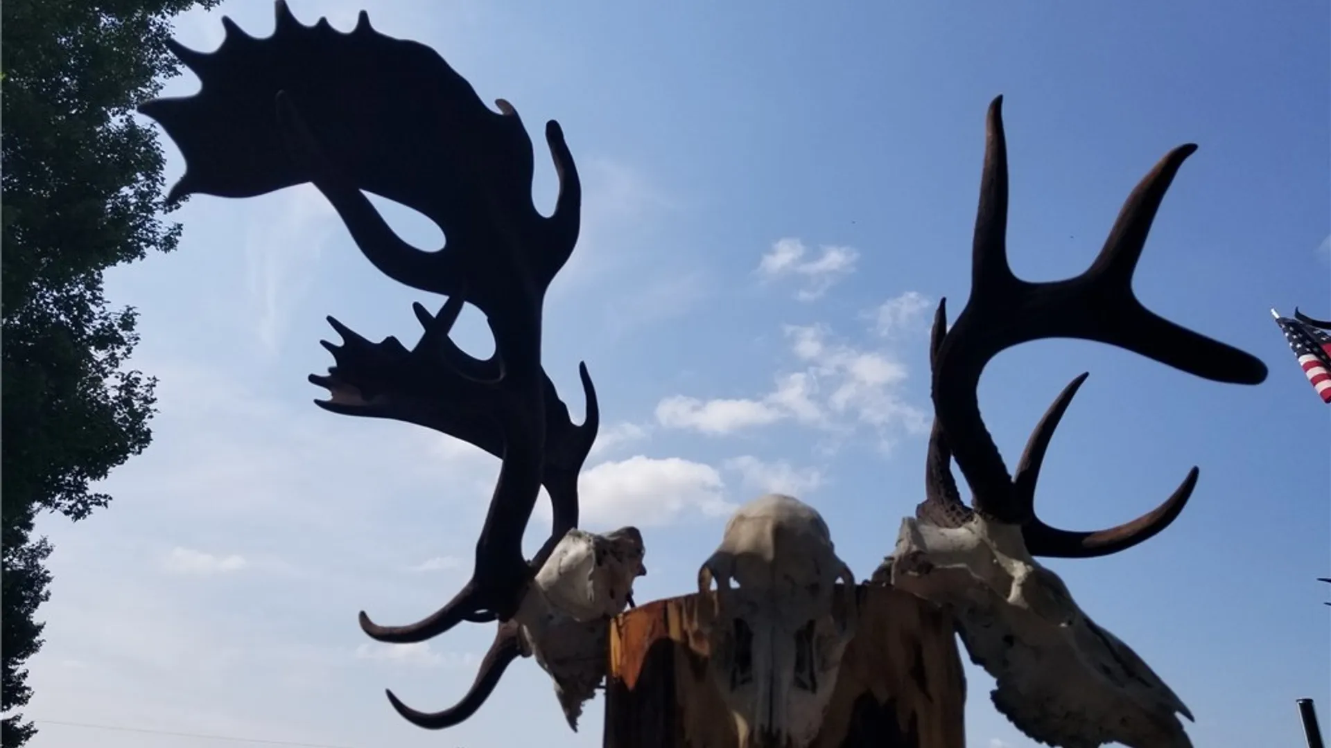 Property at 213 Button Road, Columbus, NY 13485 3