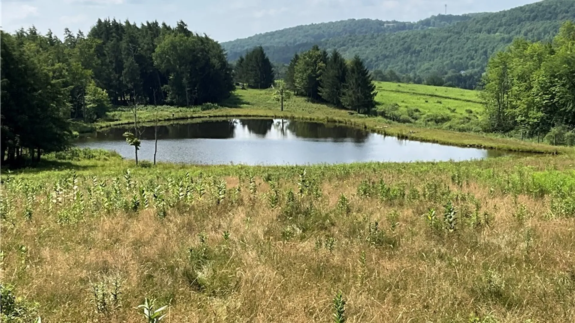 Property at 213 Button Road, Columbus, NY 13485 31