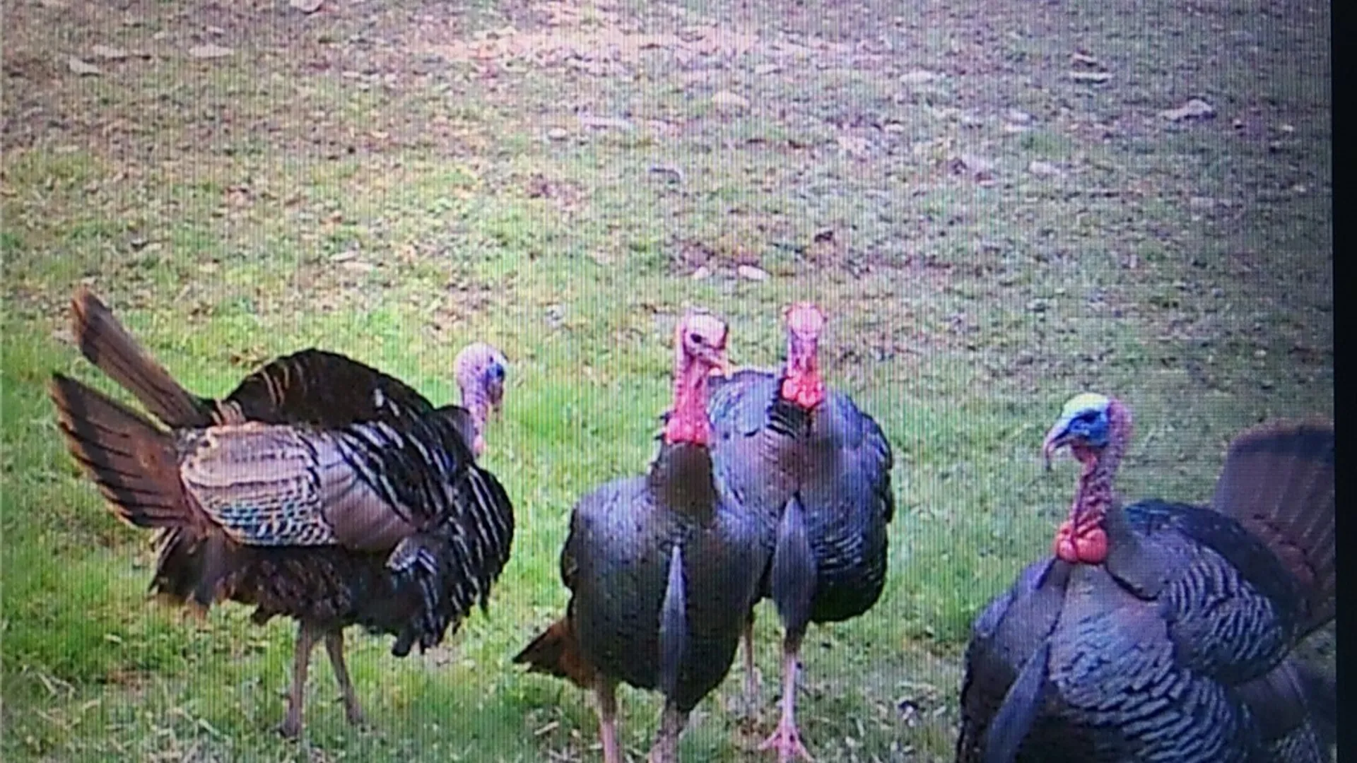 Property at 213 Button Road, Columbus, NY 13485 5