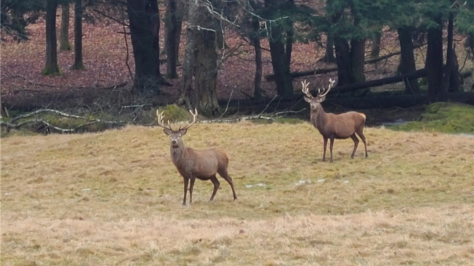 Property at 213 Button Road, Columbus, NY 13485 6