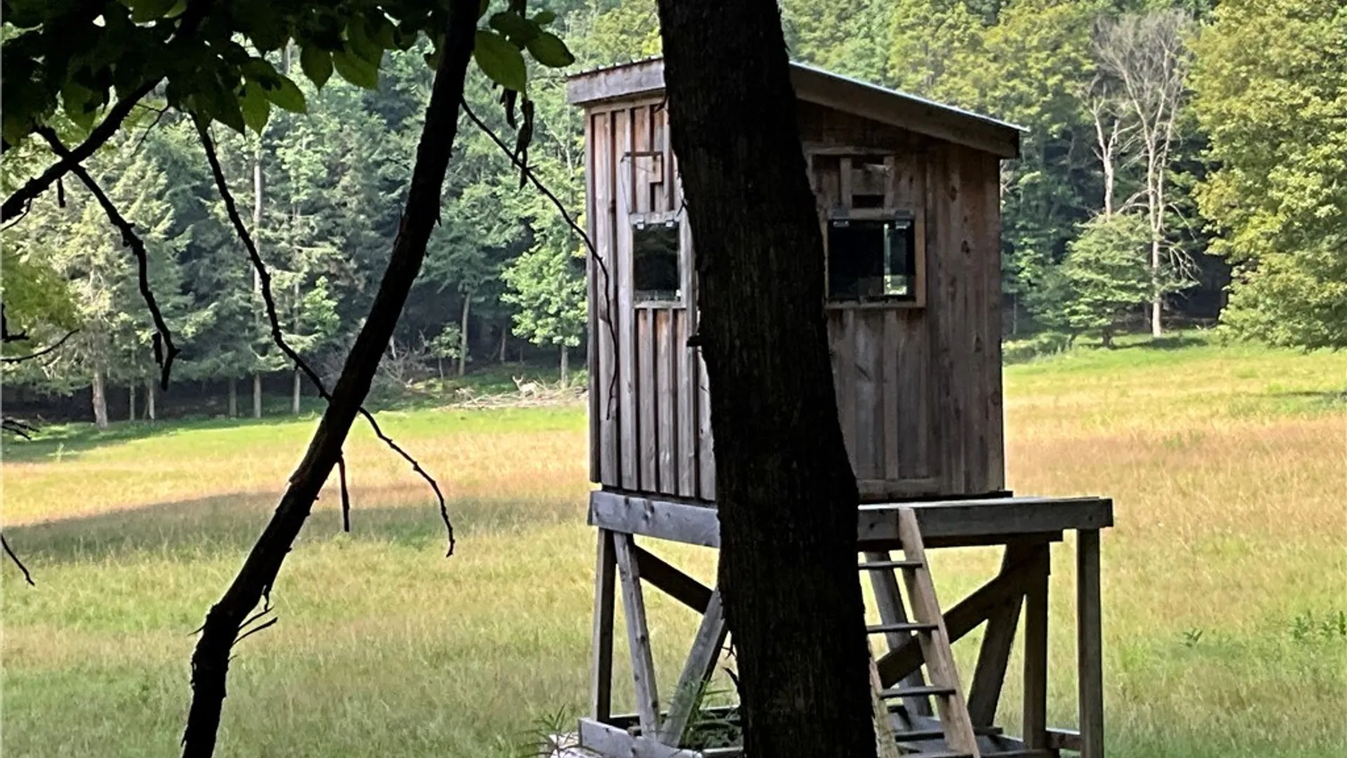 Property at 213 Button Road, Columbus, NY 13485 7