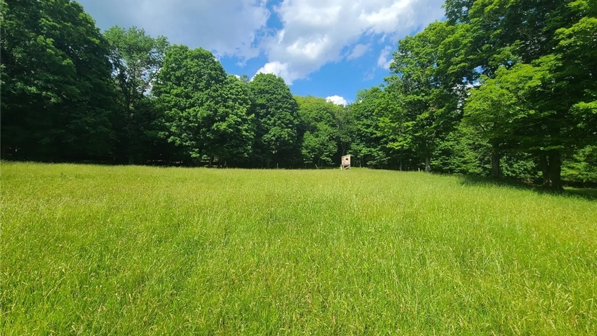 Property at 213 Button Road, Columbus, NY 13485 8