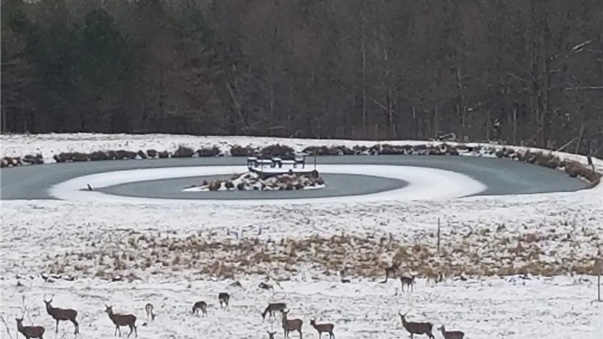 Property at 213 Button Road, Columbus, NY 13485 9