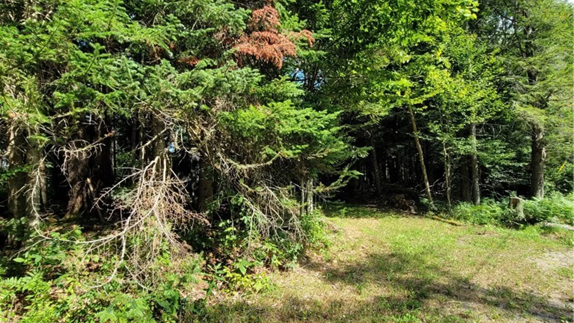 Property at 3167 Daywood Drive, Forestport, NY 13338 11