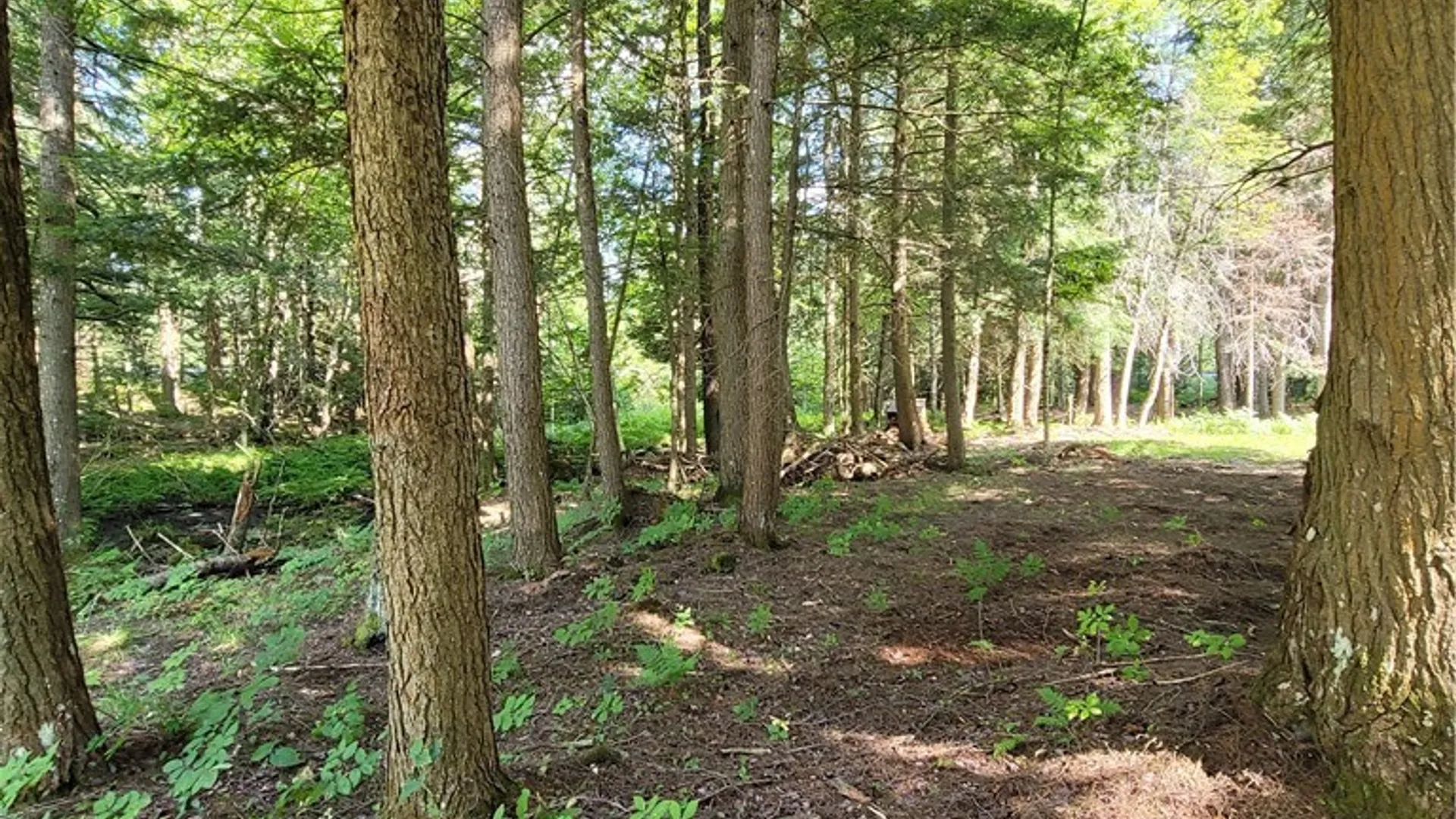 Property at 3167 Daywood Drive, Forestport, NY 13338 4