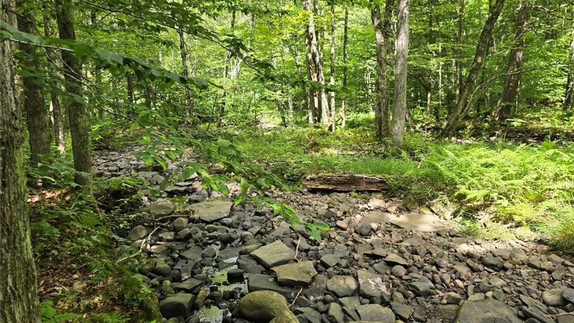 Property at 2898 Potter Road, Osceola, NY 13437 24